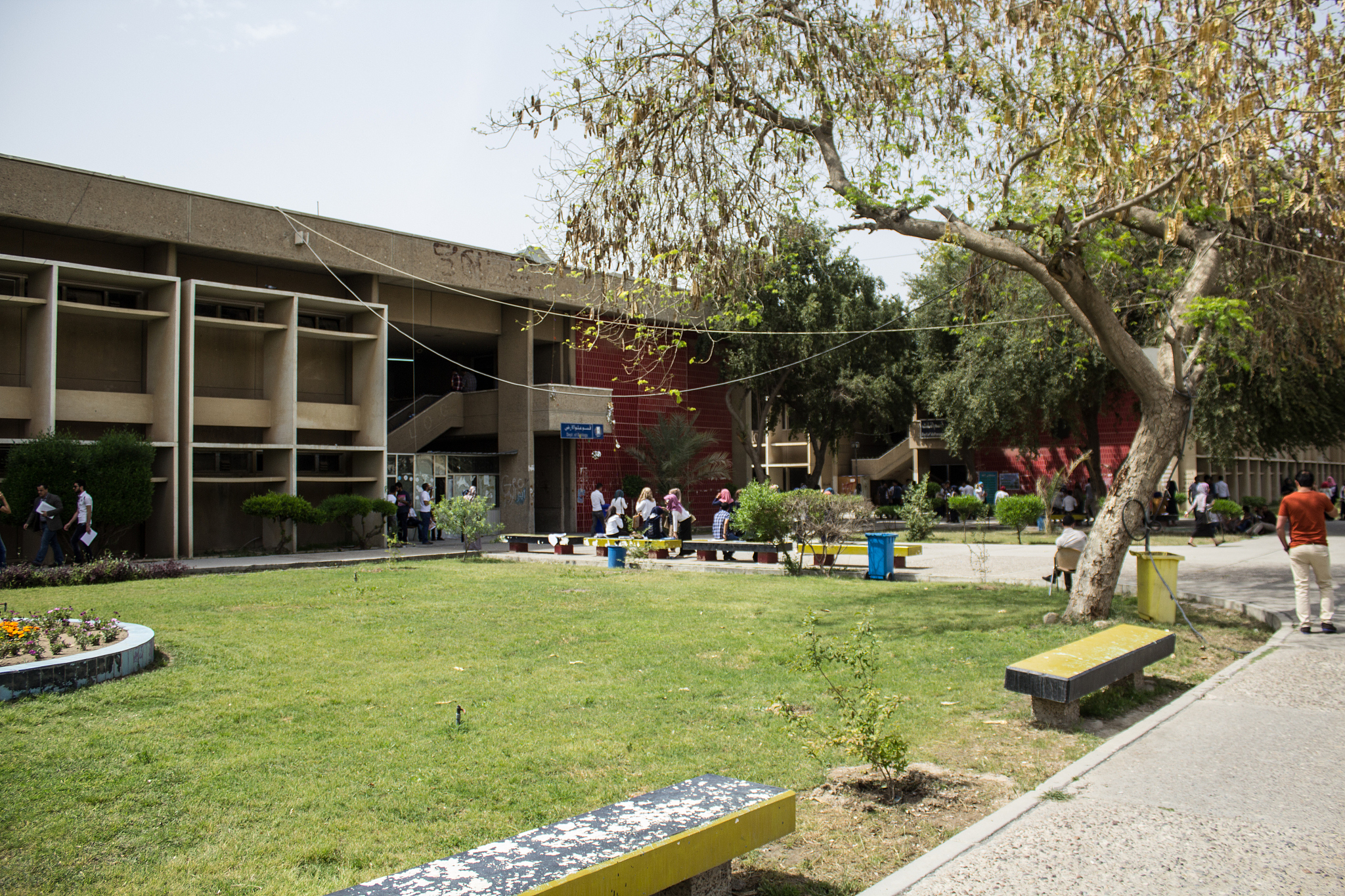 university of baghdad