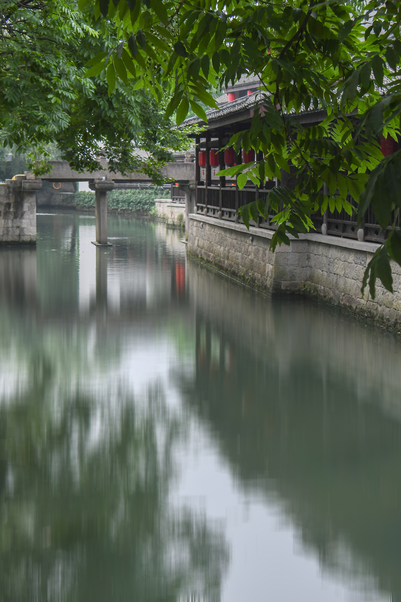 水乡夏日之旅：感受江南古镇的独特魅力