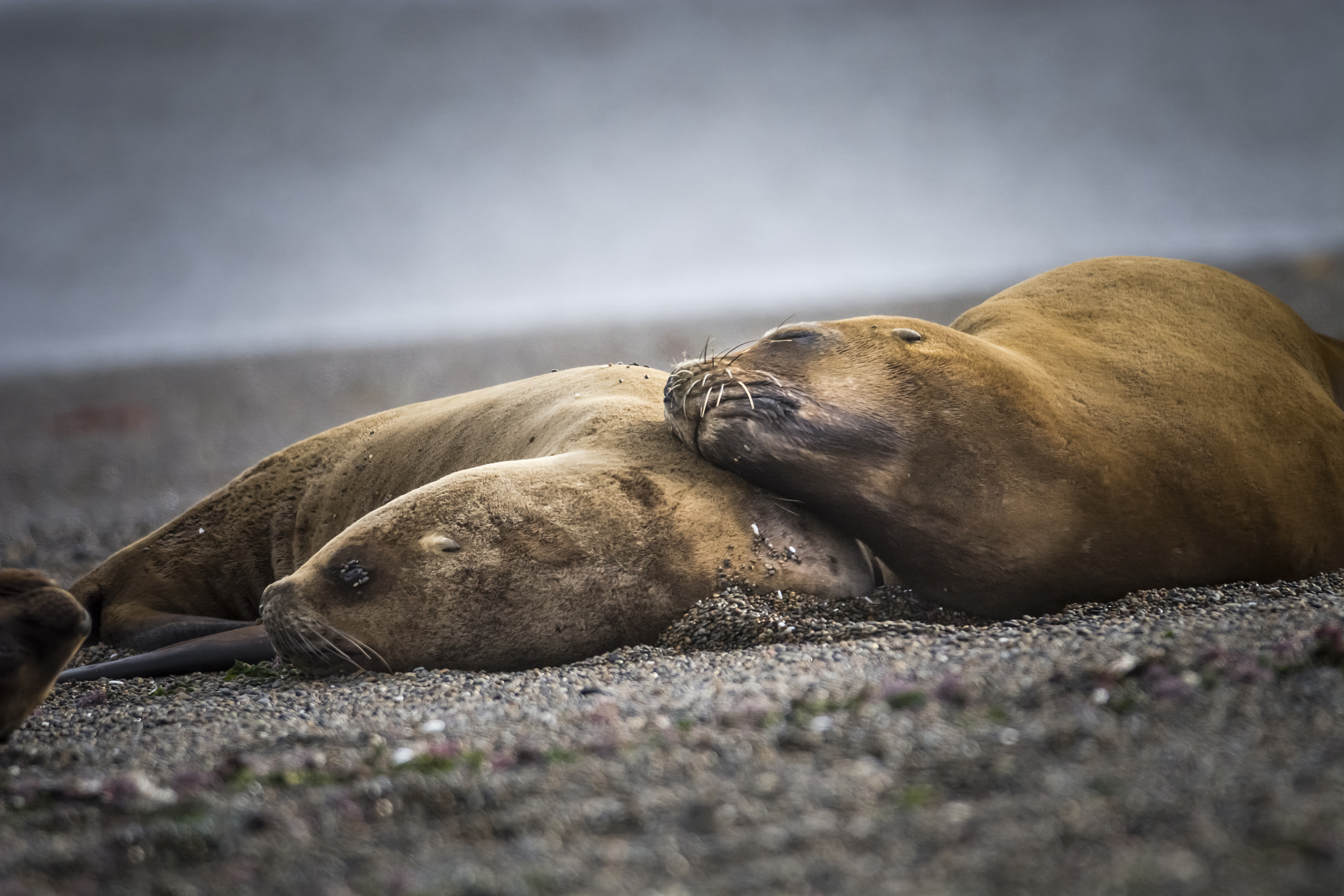 大连海洋学校养殖实训室：先进设备，培养未来海洋人才