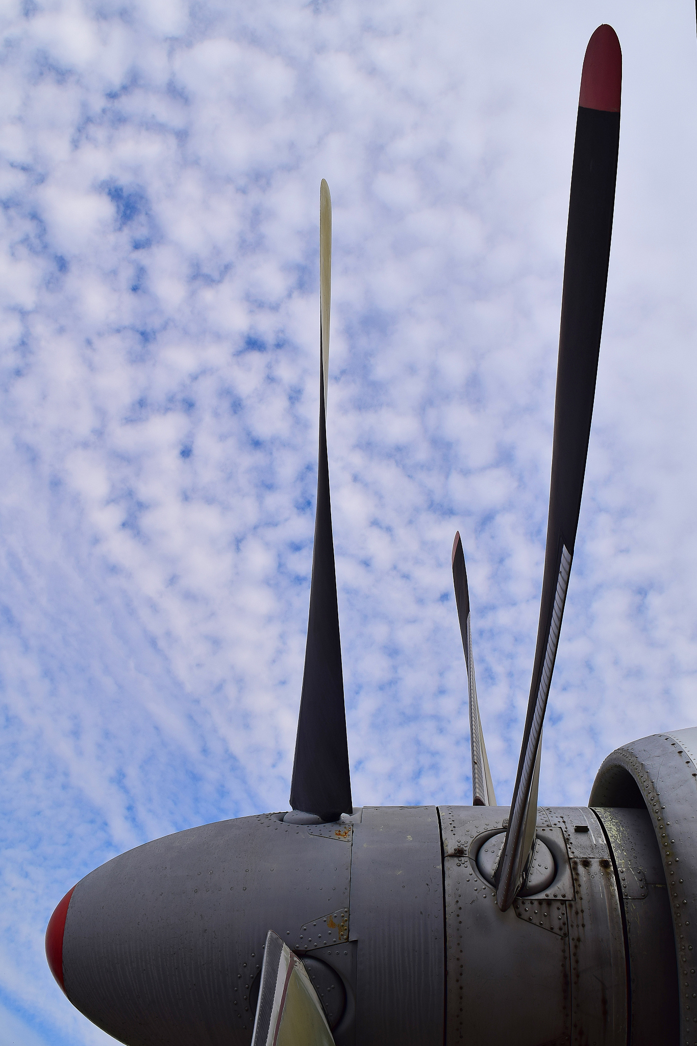 aircraft fan blades