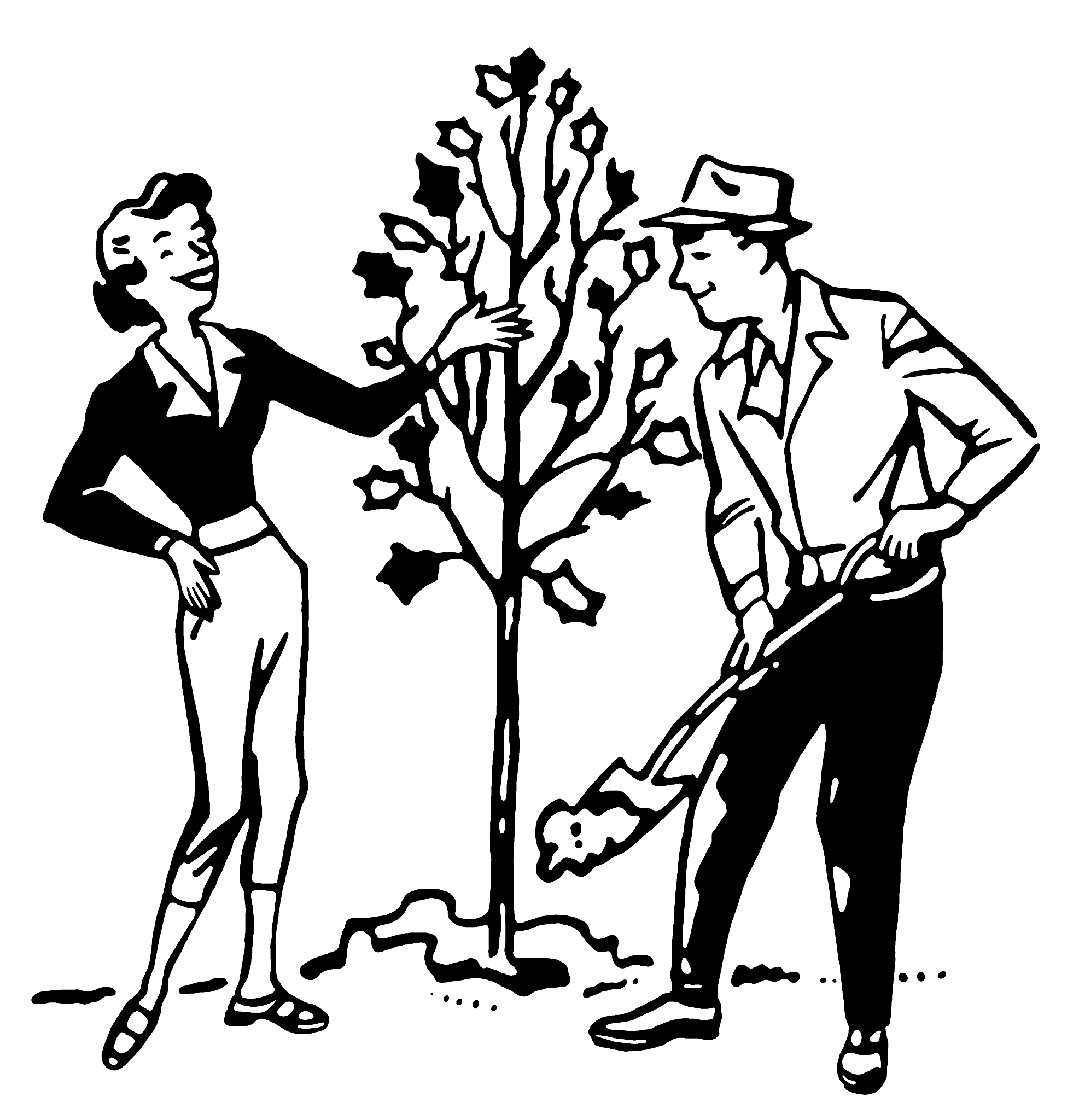 planting a tree