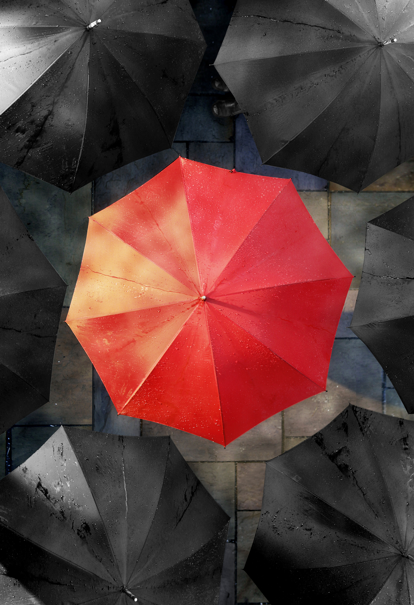 one red umbrella with black umbrellas around it