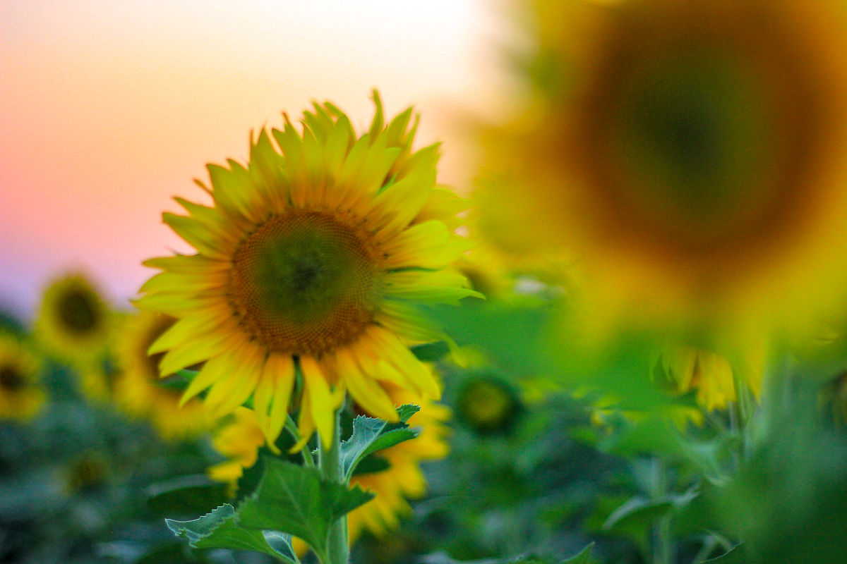 开心一刻：分享你的快乐！