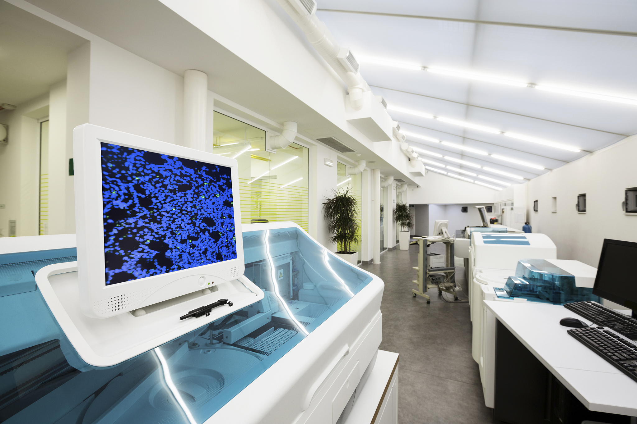 贵州医科大学医学实验技术专业就业前景：解析就业市场需求、岗位和薪资