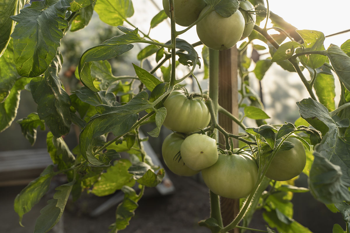 驻马店农业学校2022年专业介绍：农学、园艺、畜牧兽医、经济管理等