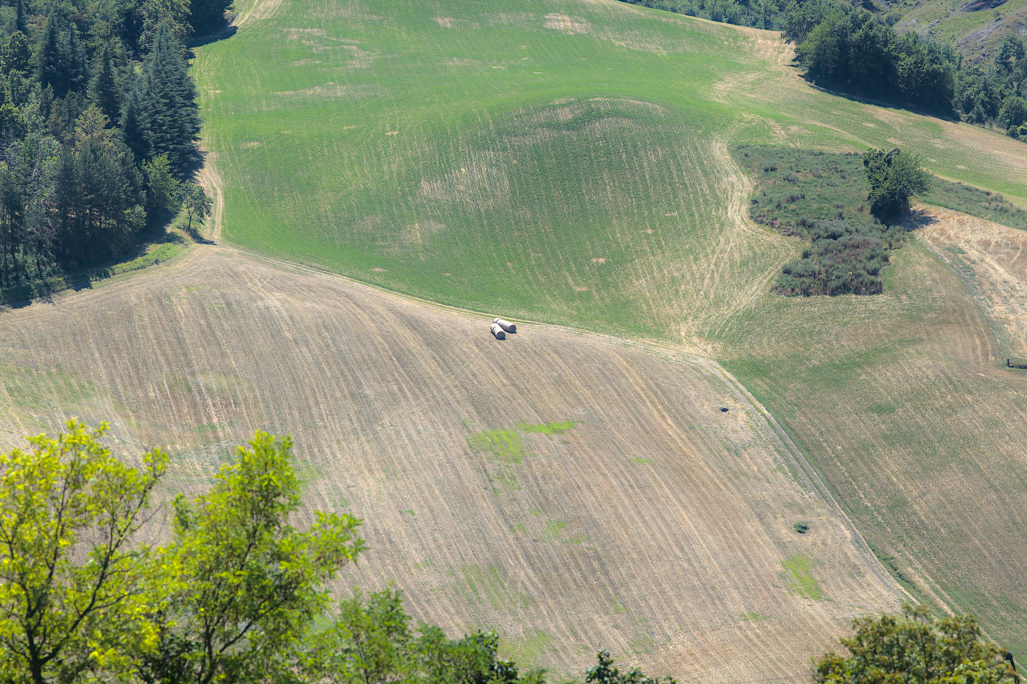 水土保持学中的植被恢复技术综述