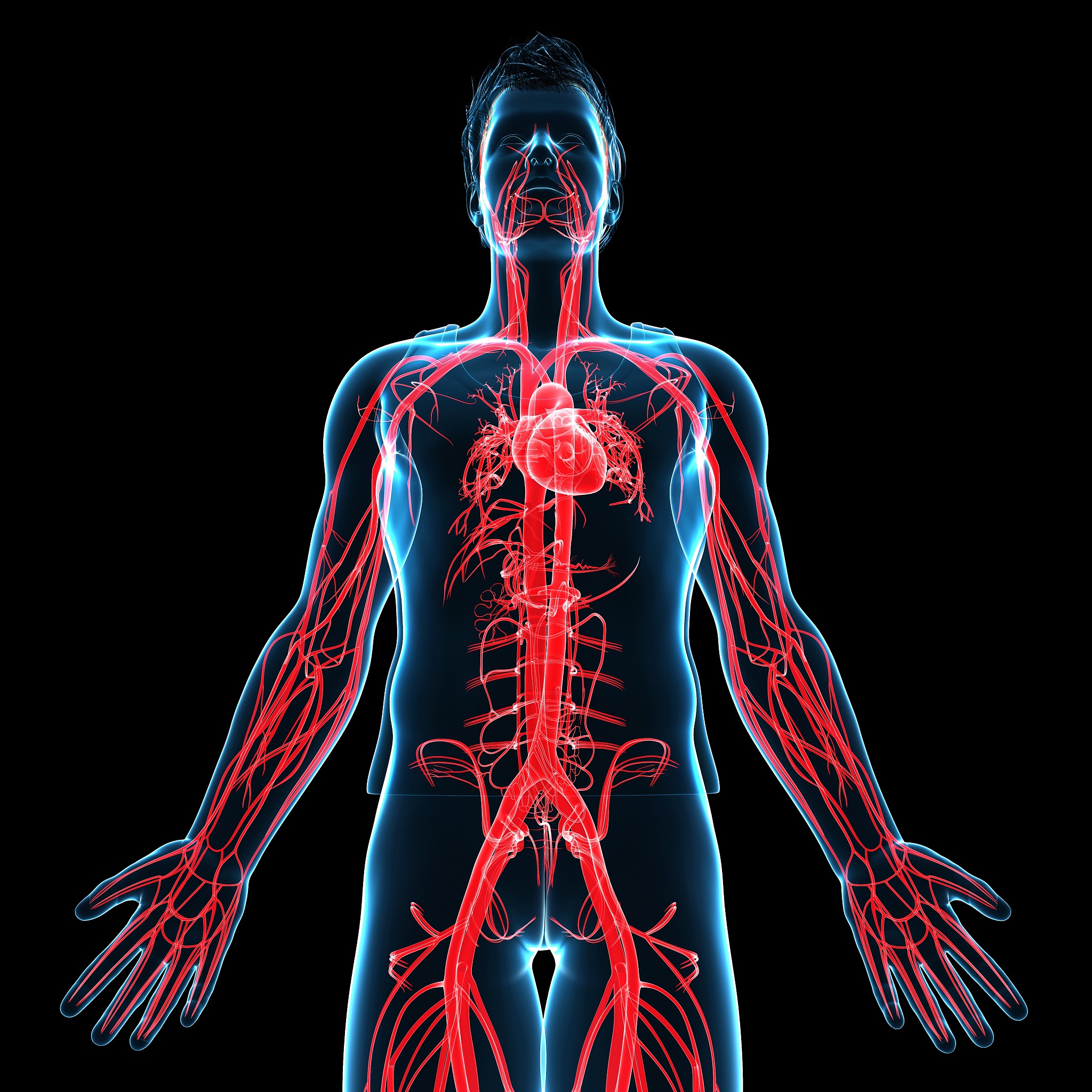 人只剩一个心脏能活吗？