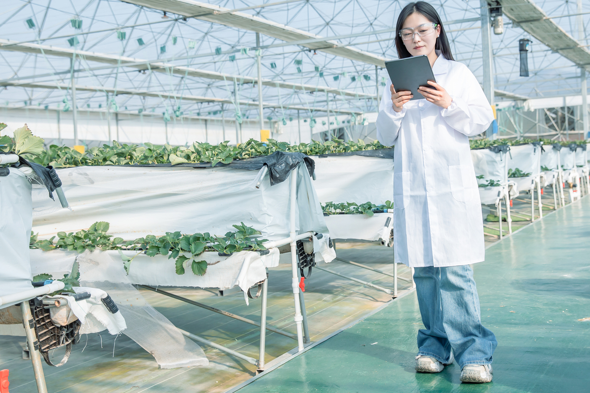 福建农业职业技术学院生物技术及应用专业就业方向：农业领域发展