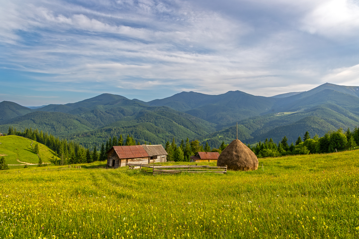 设计一个带有will的中文农场名字