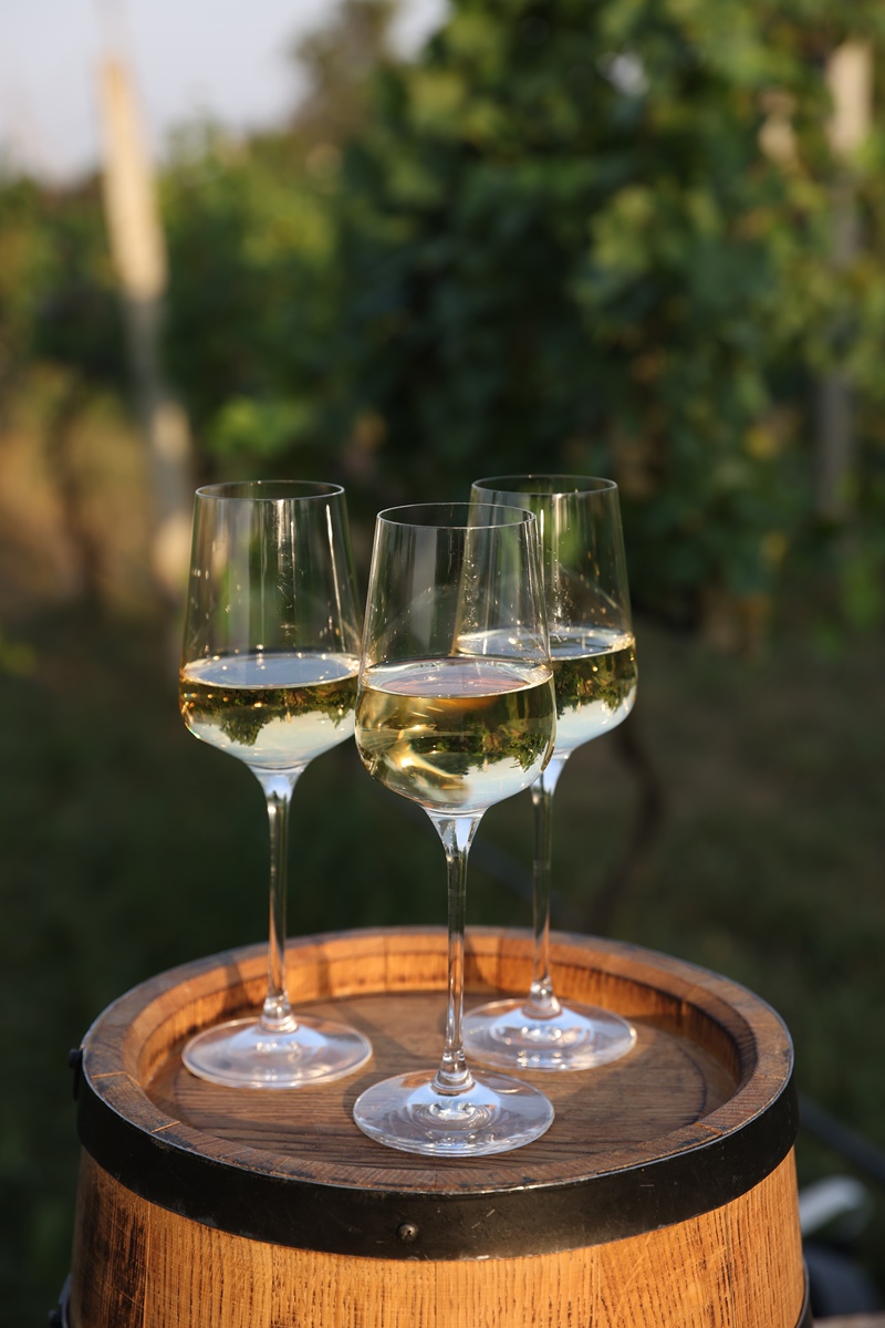 以 品红酒就像品一种生活的态度。它的醇厚如同一份深情的陪伴。它的香气如同一种浪漫的想象。每一瓶都是对生命的热爱。为标题的短视频文案 不少于150字