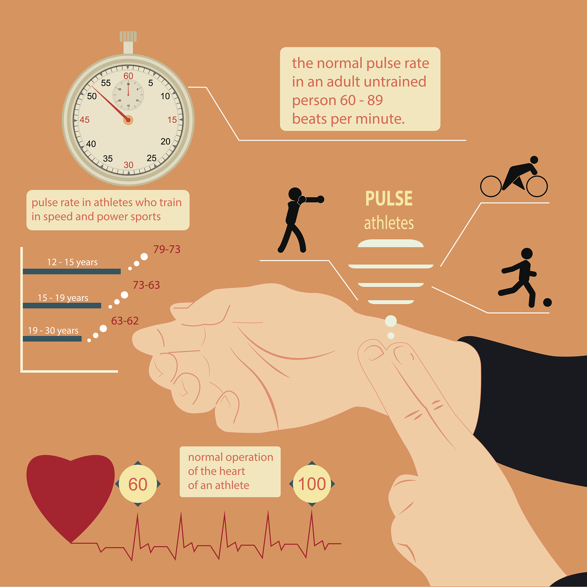羽毛球拍文献综述：材料、动力学、挥拍动作及设计影响研究