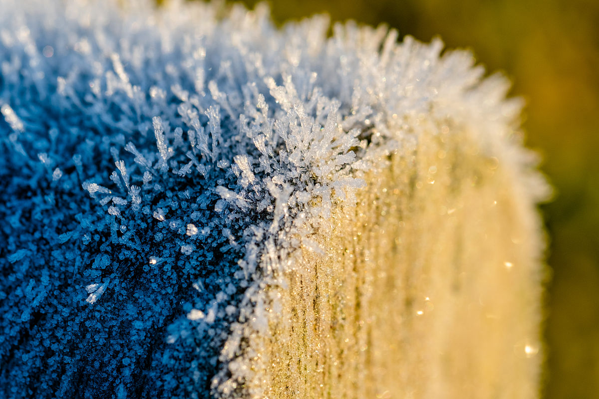 96110能查司法冻结原因吗？