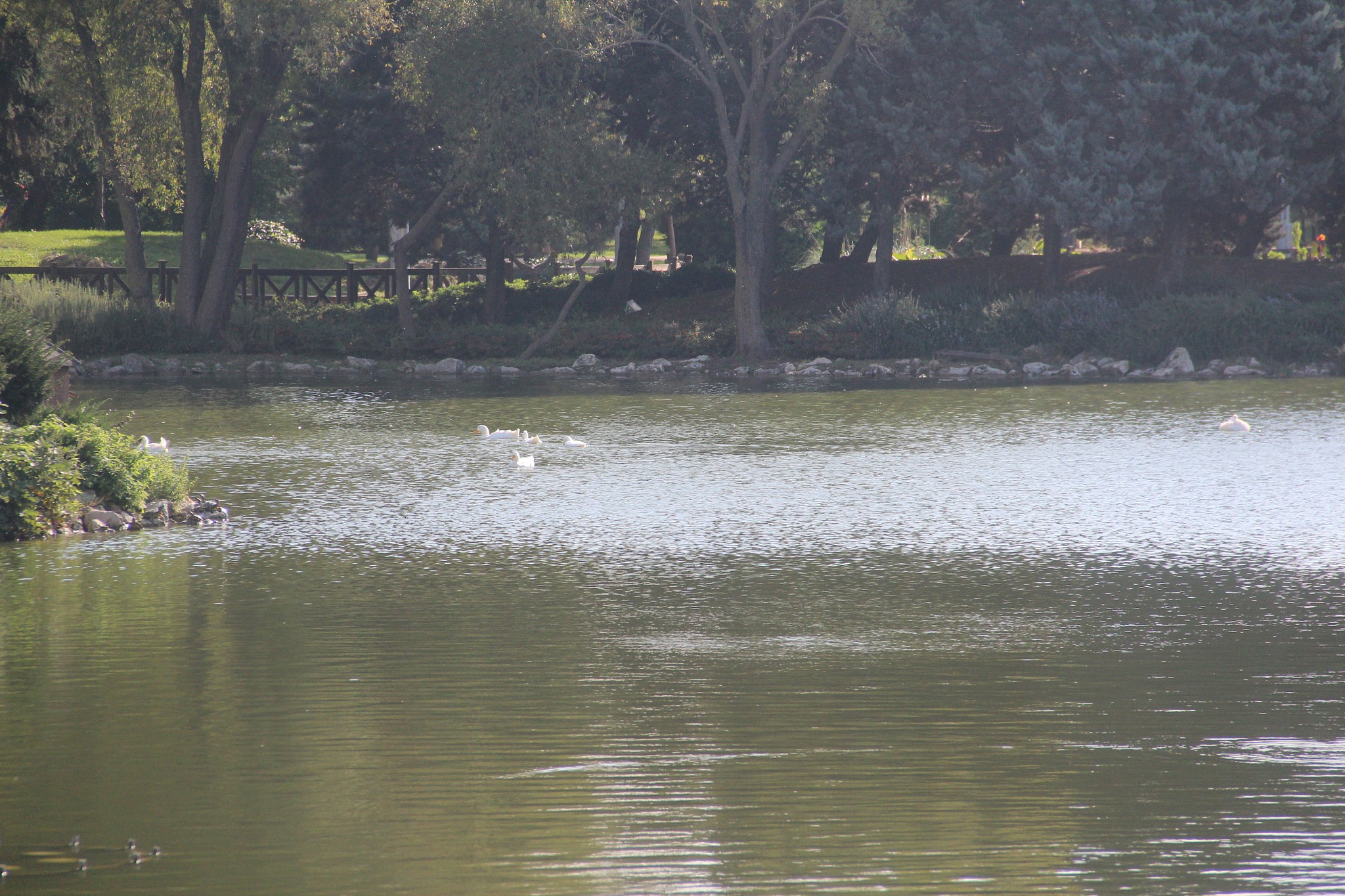 türkiyenin başkenti neresi