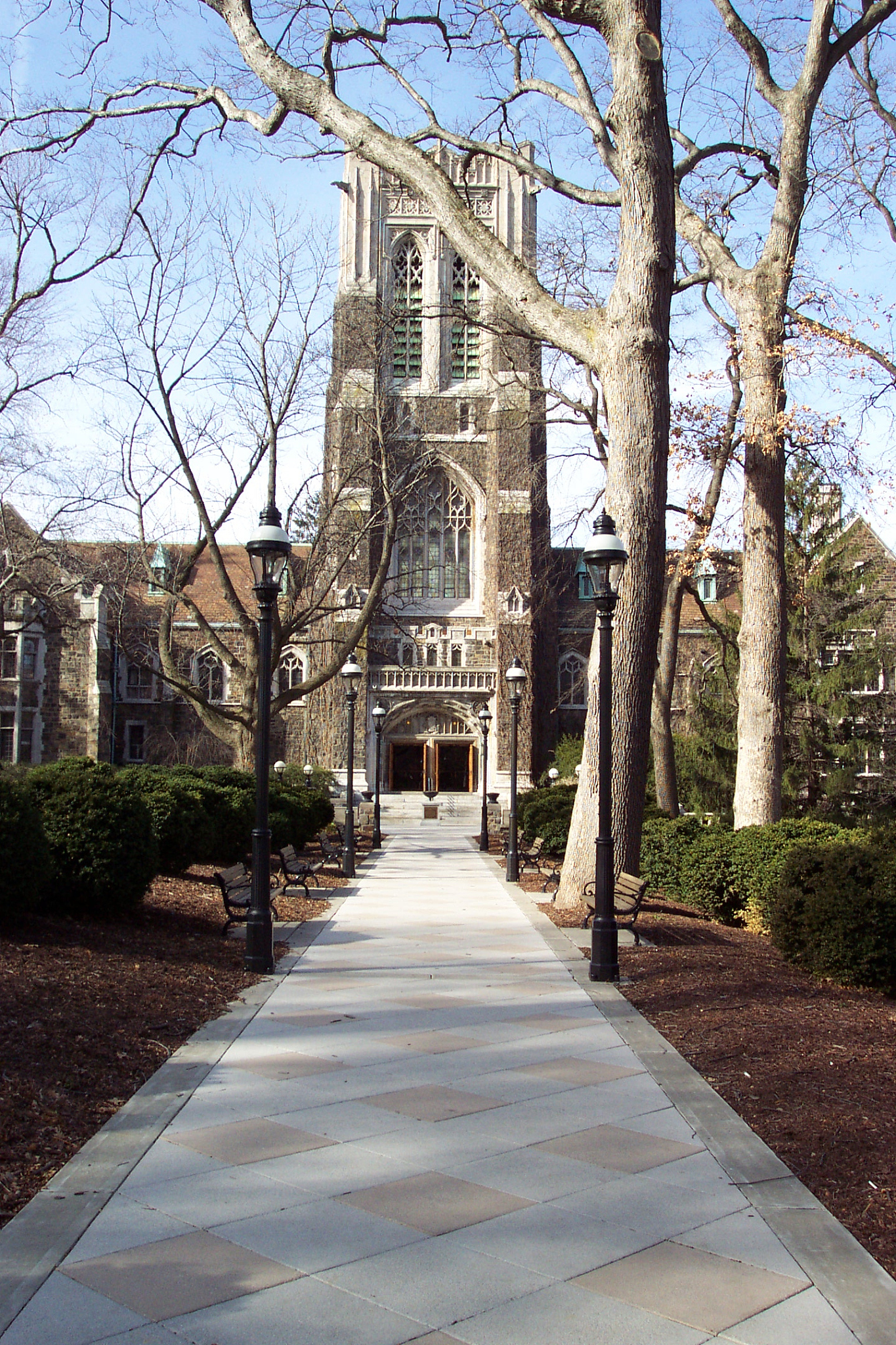 the tower