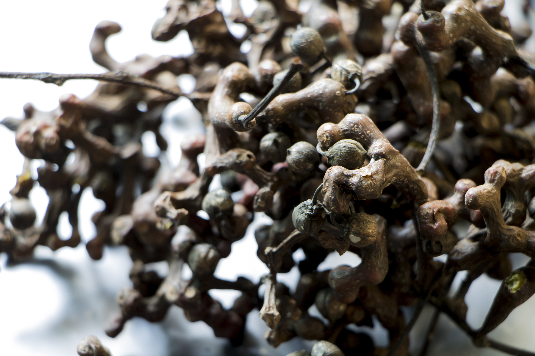 降血糖胶囊脚本：饮食、运动和中药辅助