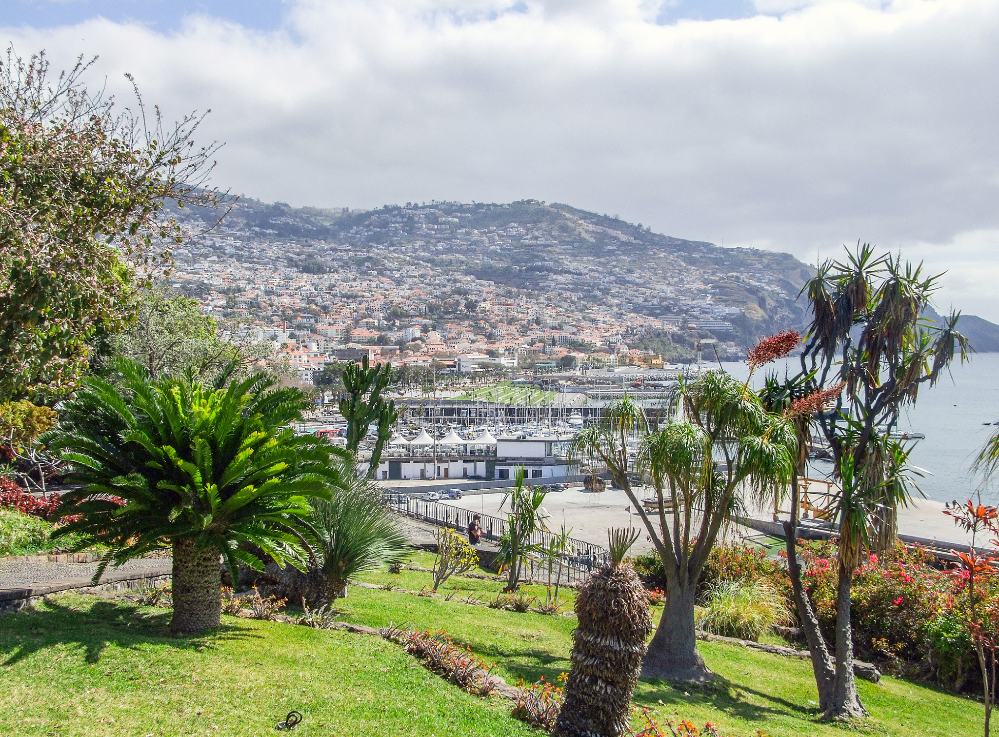 funchal in madeira