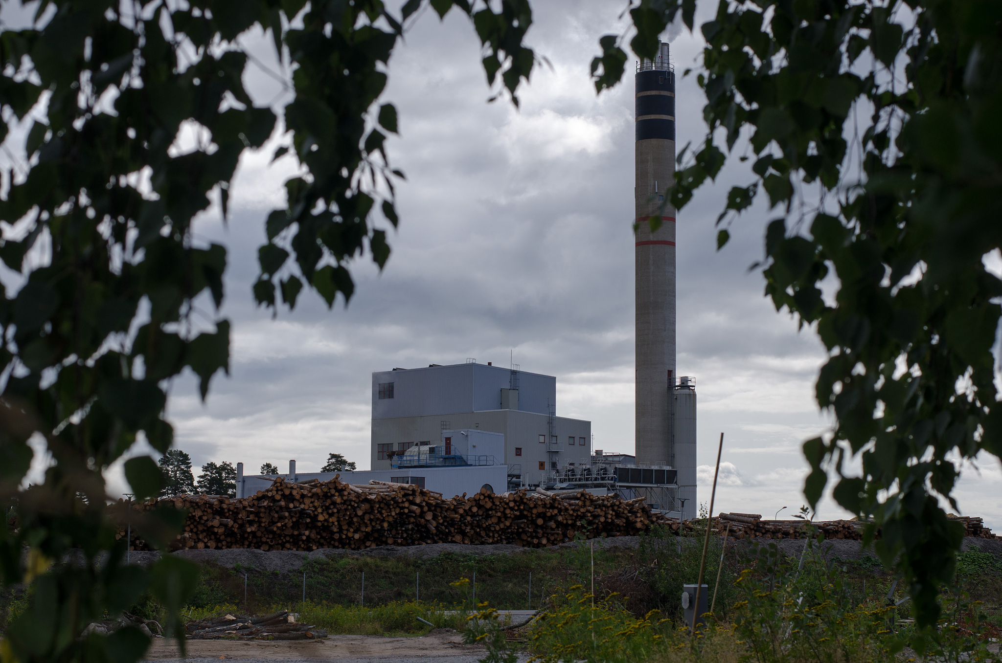 wood factory