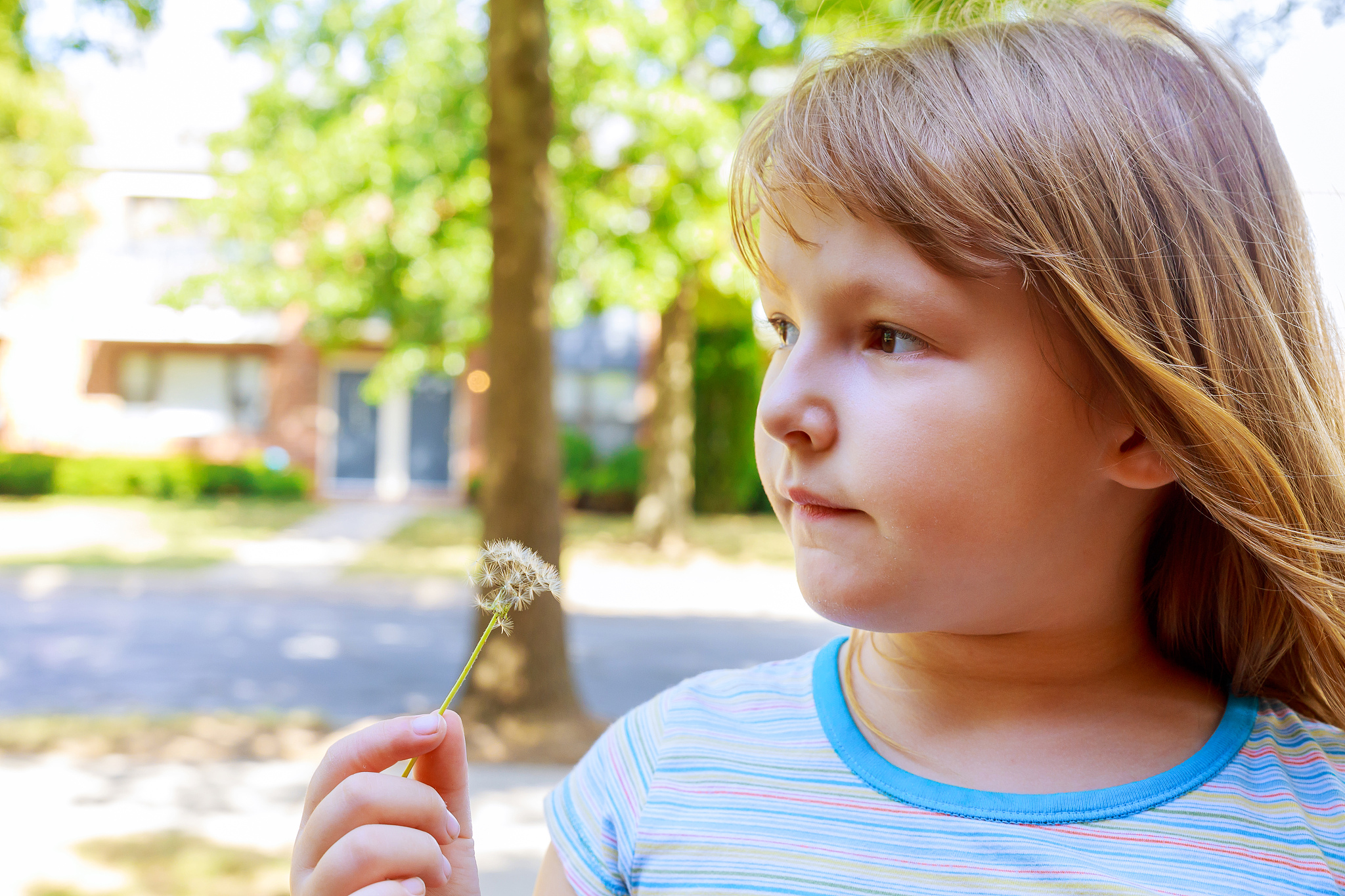 cute blond little girl blowing a dandelion