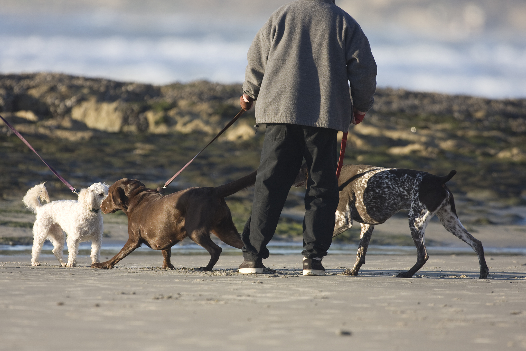 小学2年级阅读文章要求10分钟内容