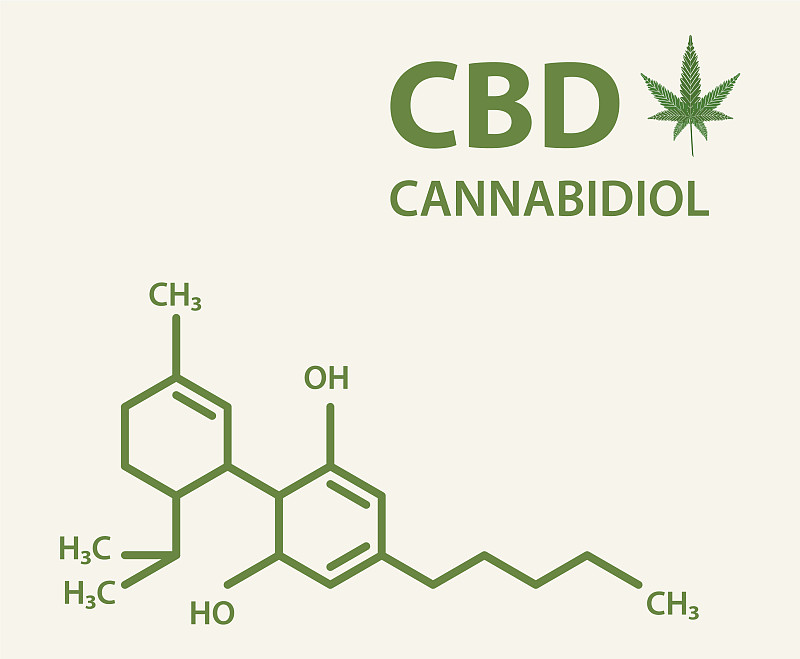 Are All Carbohydrates Derived from Plants? A Comprehensive Guide