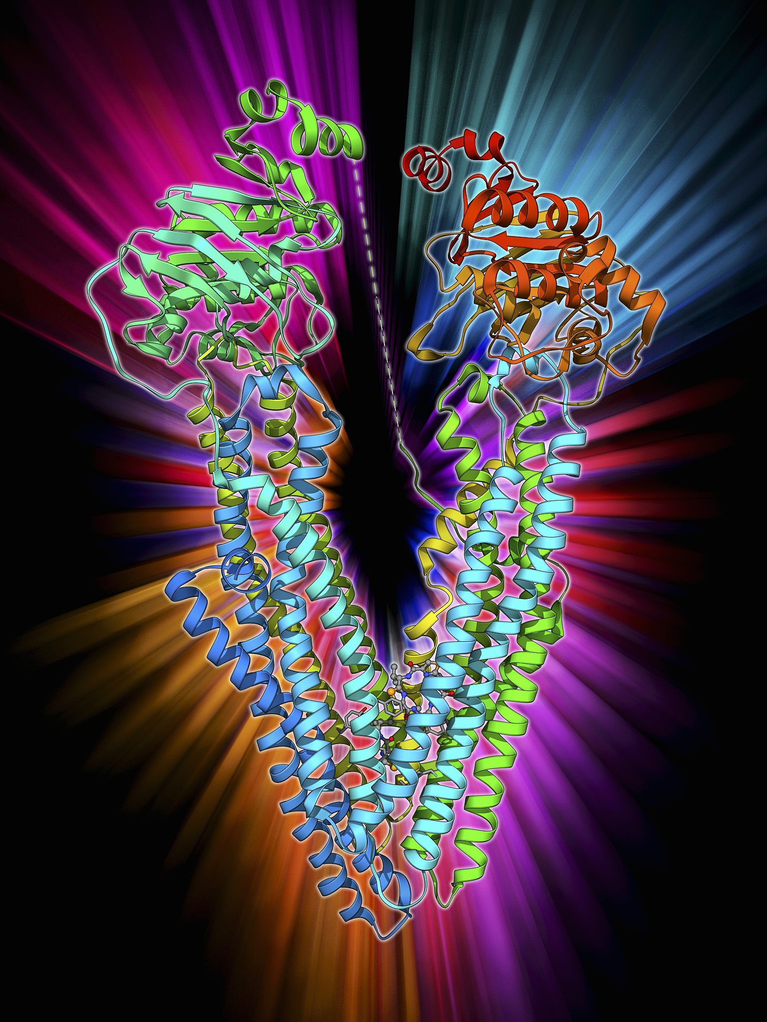 生物大分子物质：种类、结构和功能详解