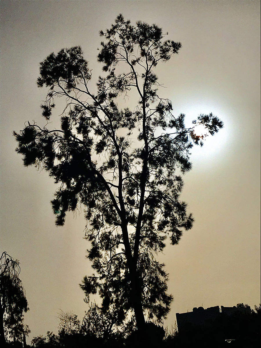 抑郁症治疗：最有效的方法及建议