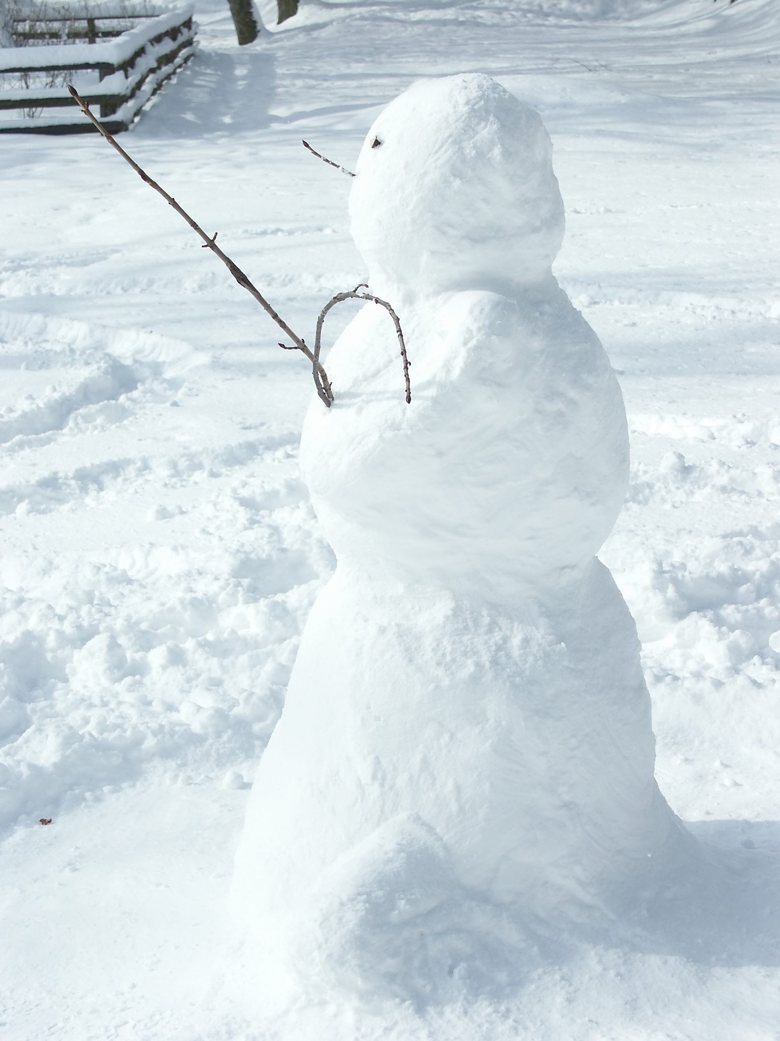 我这边一年看不到雪怎么回复