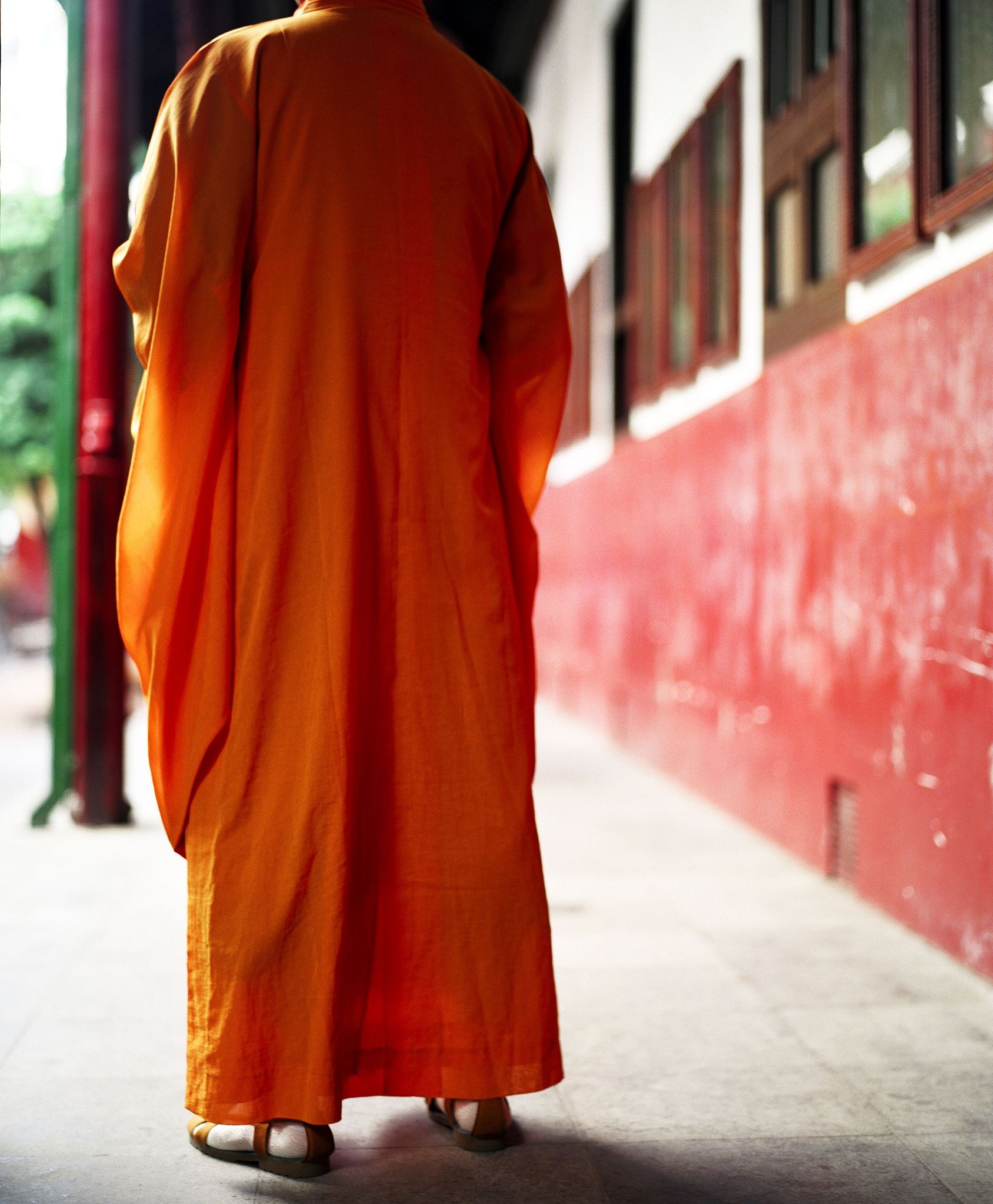 陆沉：显赫家族继承人的私密爱好