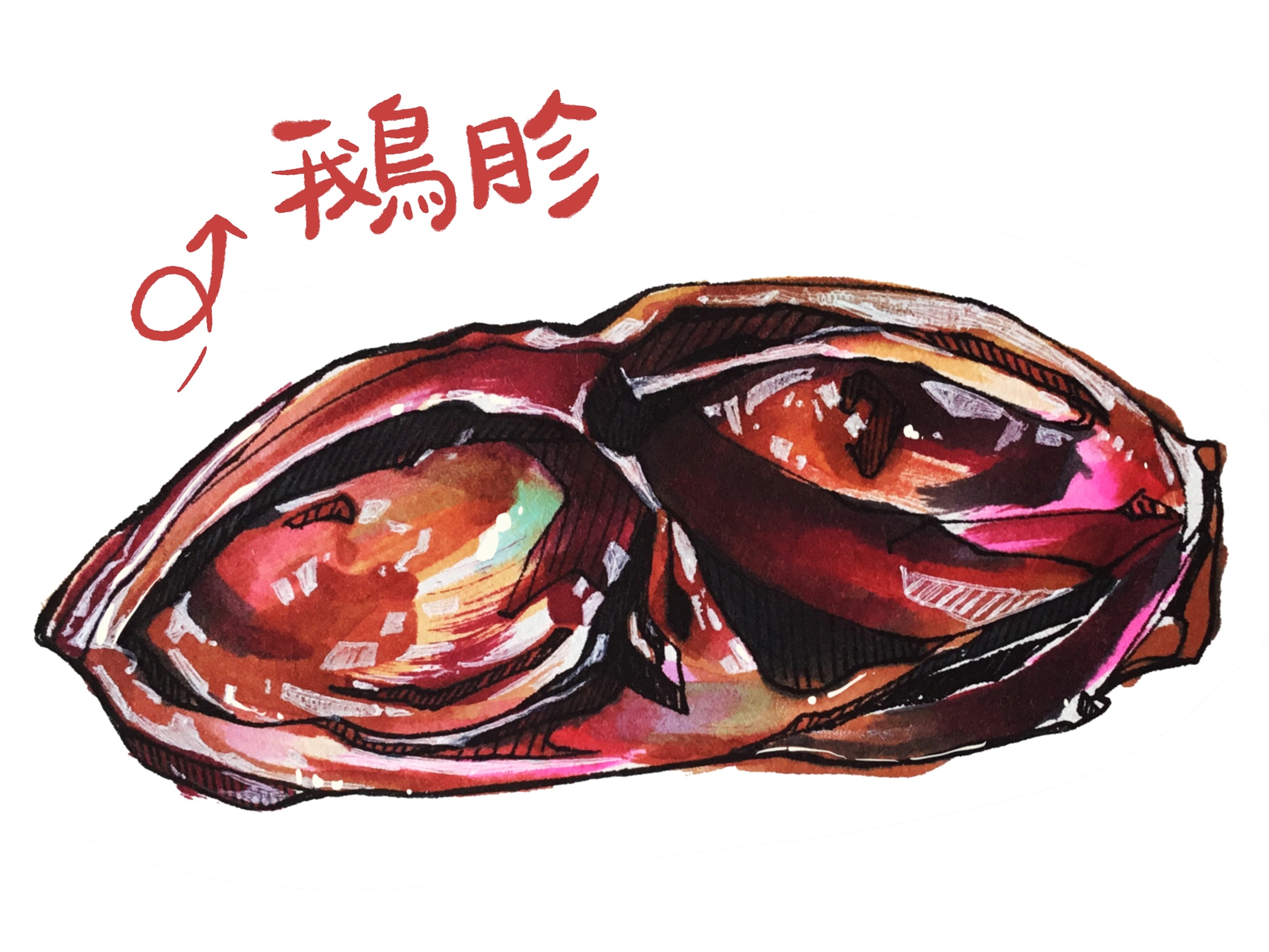 鸭肉的功效与作用：营养丰富，预防疾病，改善健康