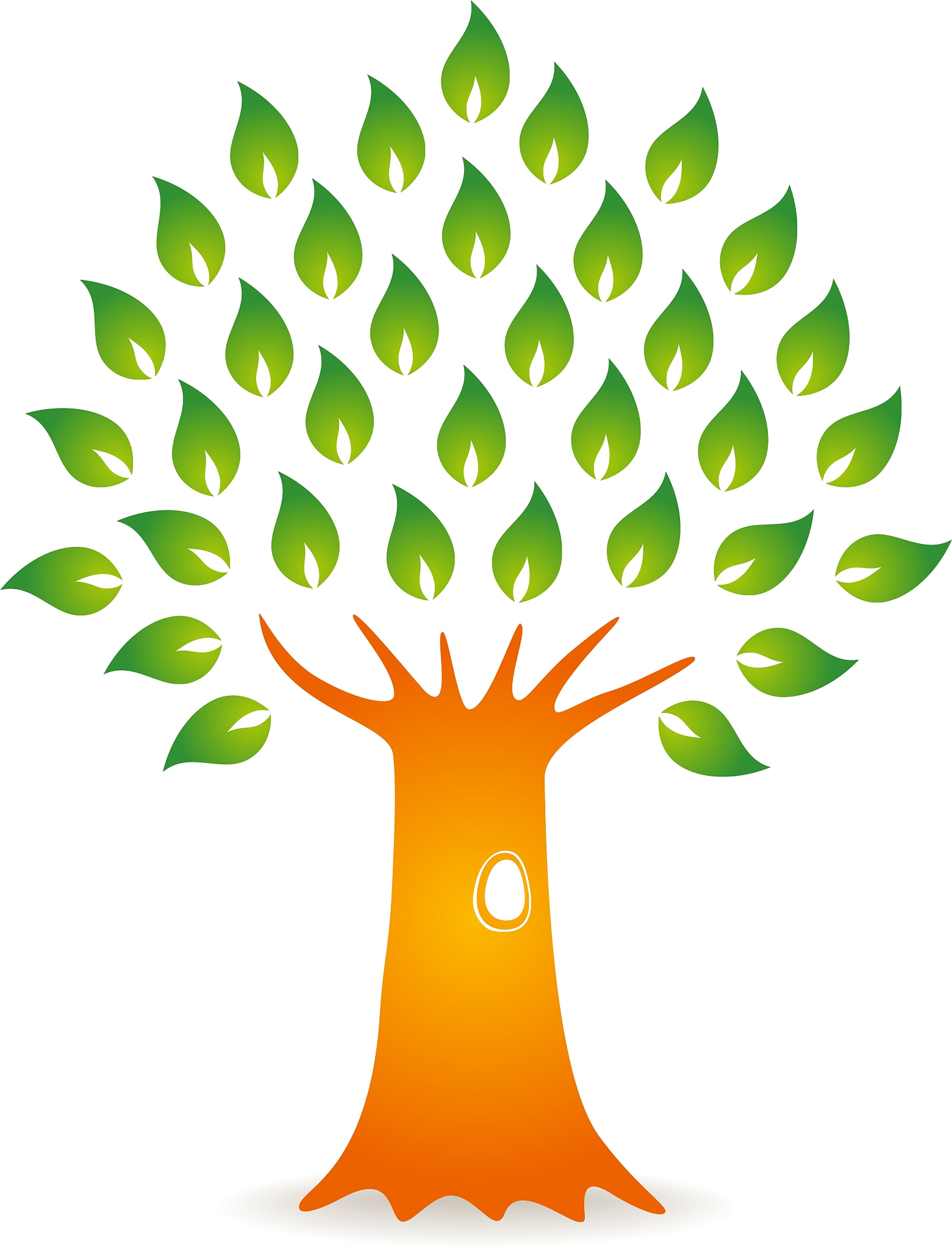 tree with hole