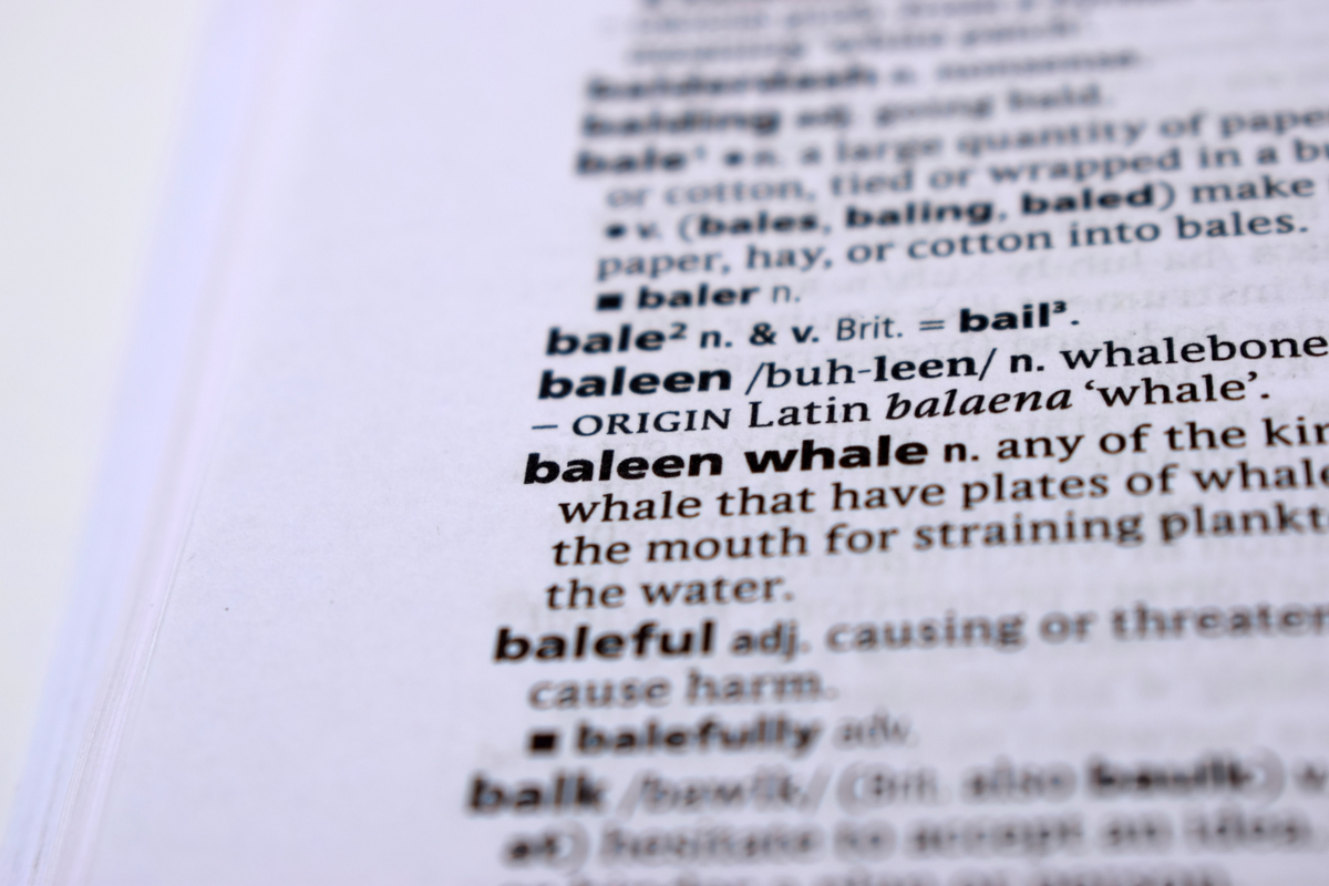 编写程序实现用户输入一句英文句子统计其中的小写字母a-z的字符分布即出现a-z字符的数量并输出结果；同时输出一共包含的字符数量。‬注意输出格式各元素之间用英文逗号分隔。‬如果某个字符没有出现则不显示输出顺序a-z顺序。‬输入示例How are you I am fine and you I am fine too输出：共48字符a4d1e3f2i2m2n3o5r1t1u2w1y2