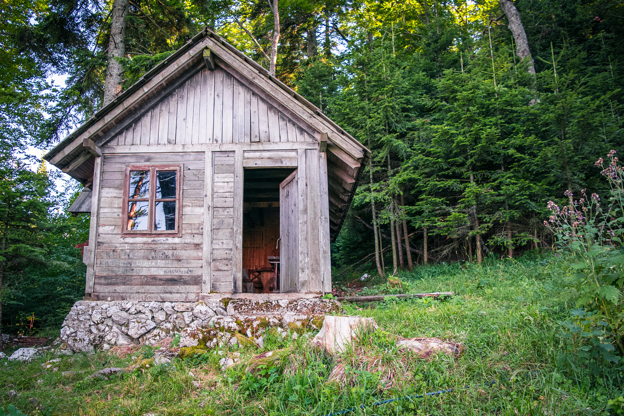 荒野生存：阿狂的松树枝避暑别墅建造记