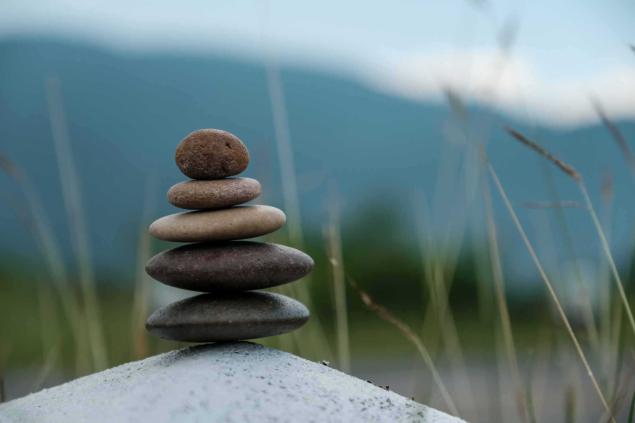 zen of life, zen stone