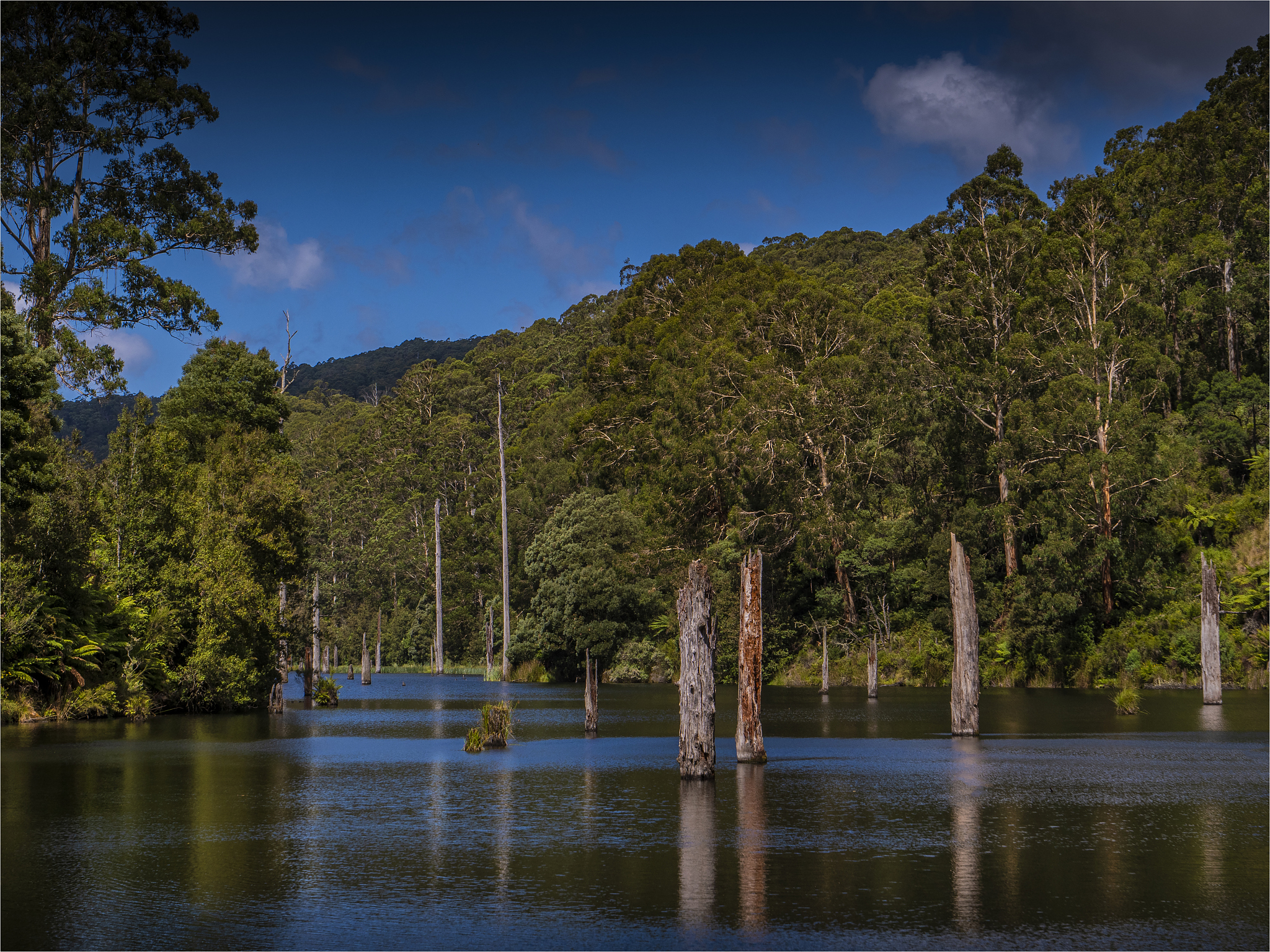 用一小段优美的话描述一个美景翻译成英文