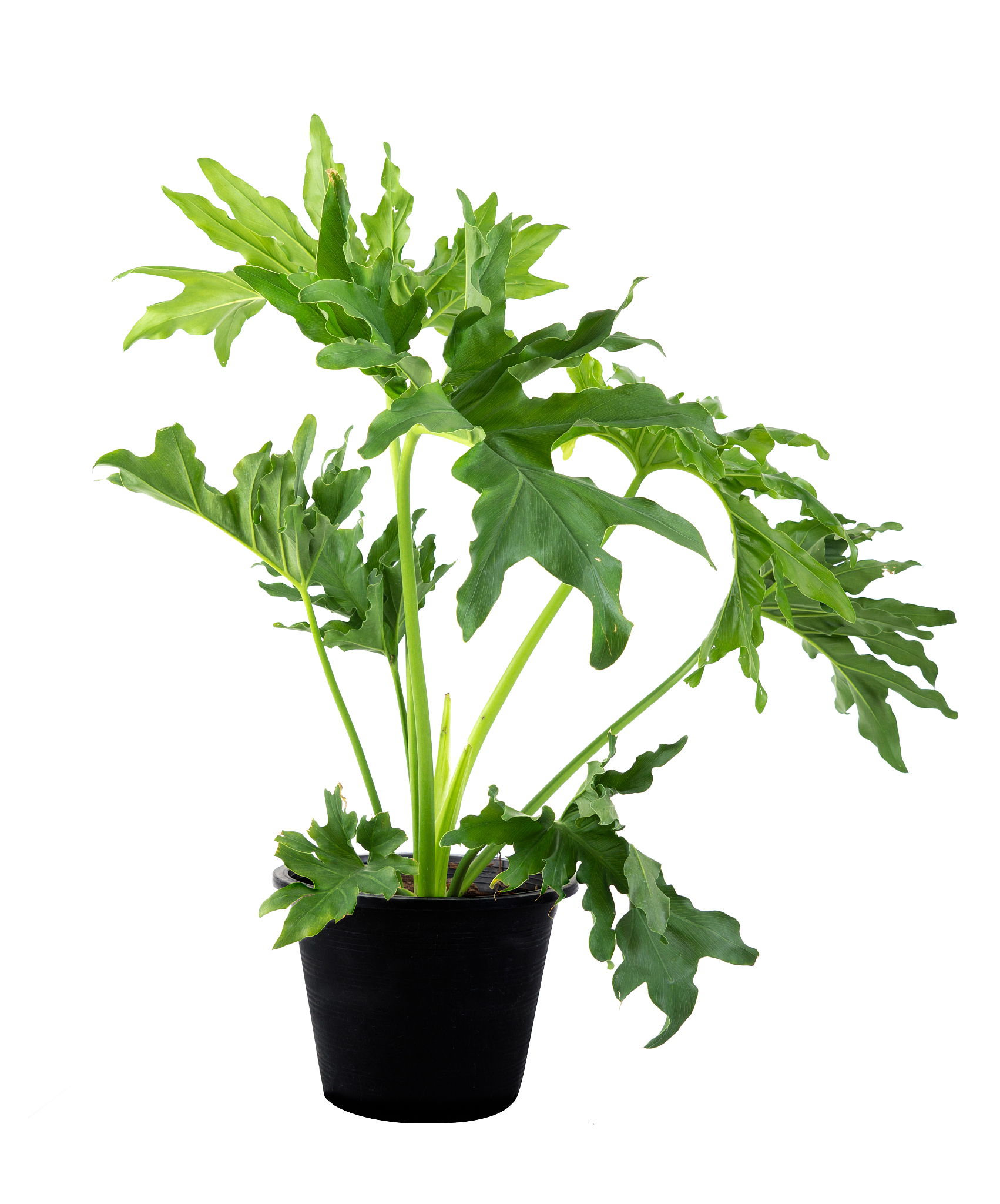 兰州职业技术学院装饰艺术设计专业课程设置 - 学什么？