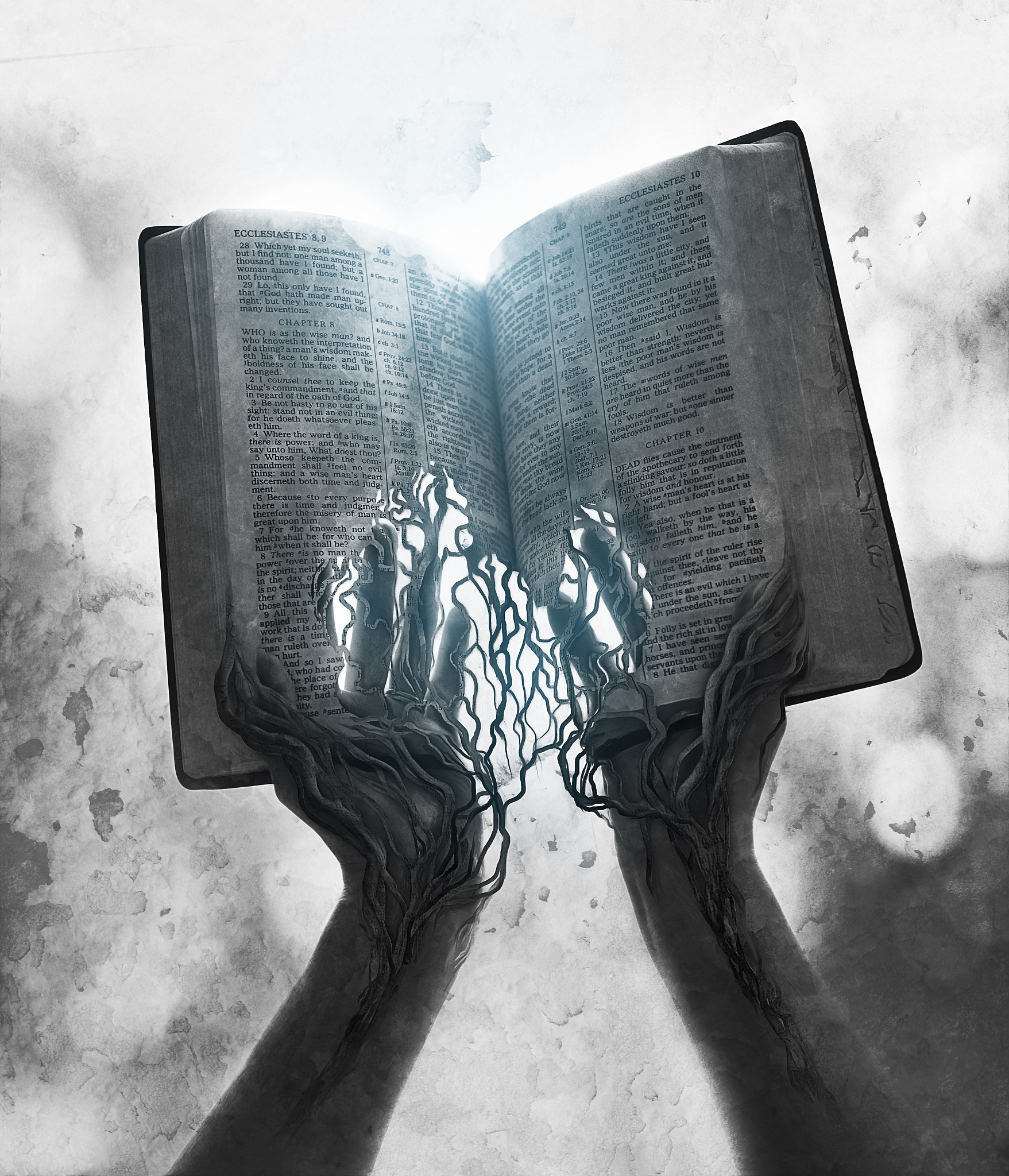 用一句话概括《圣经》