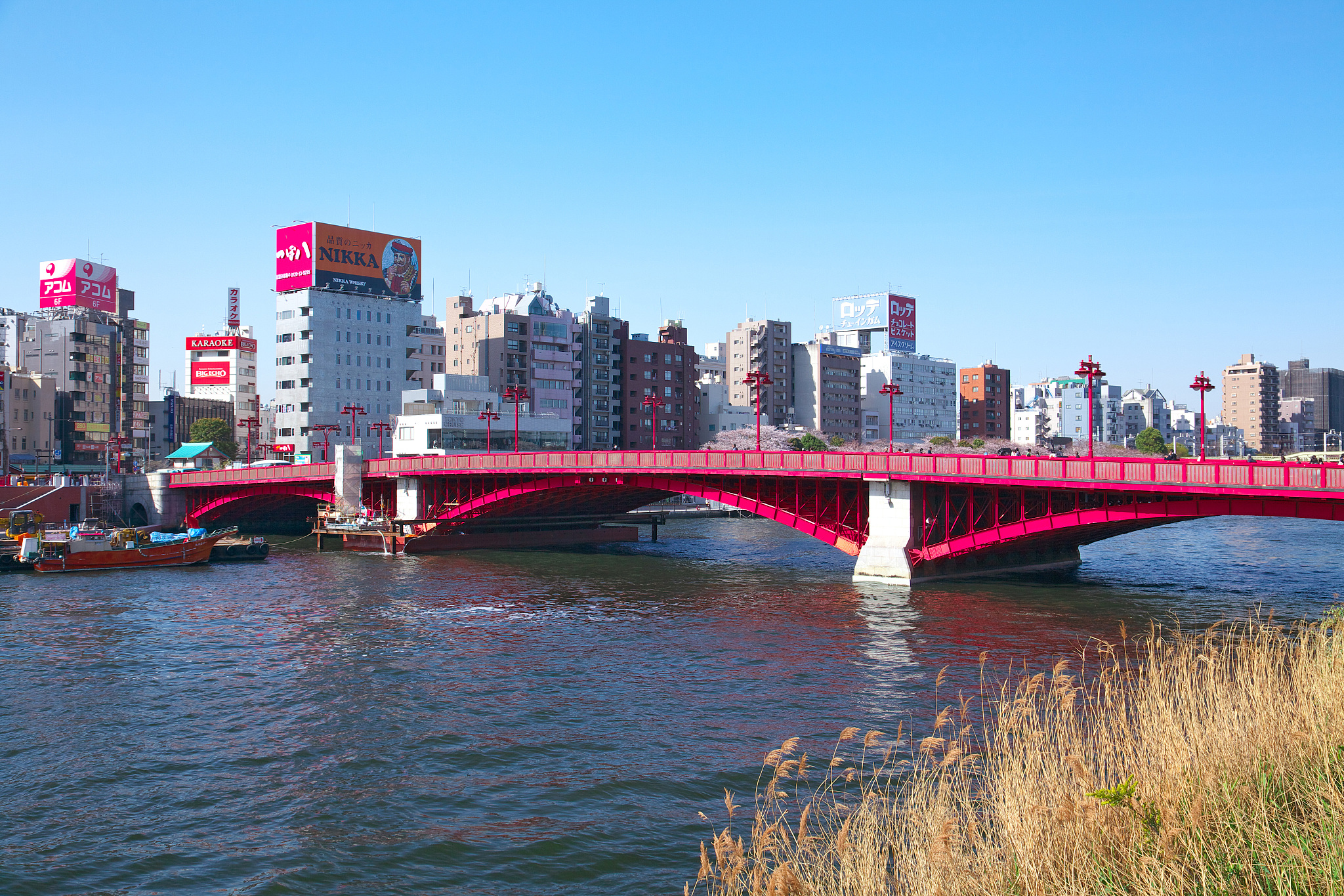 view of tokyo,japan