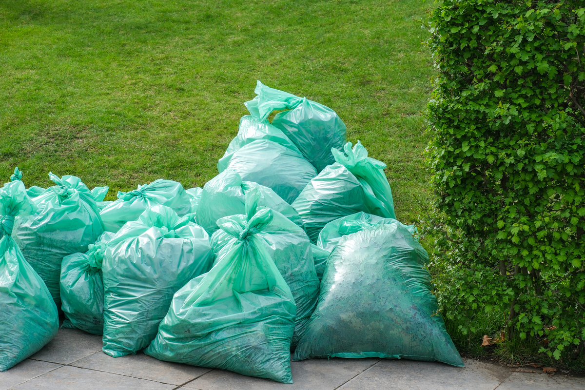 可降解生物基废渣环保包装加工装置：废物变宝，绿色包装