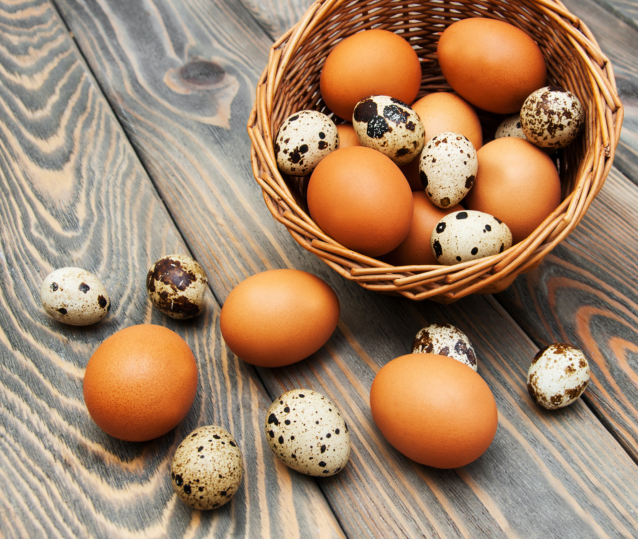 different types of eggs in a basket