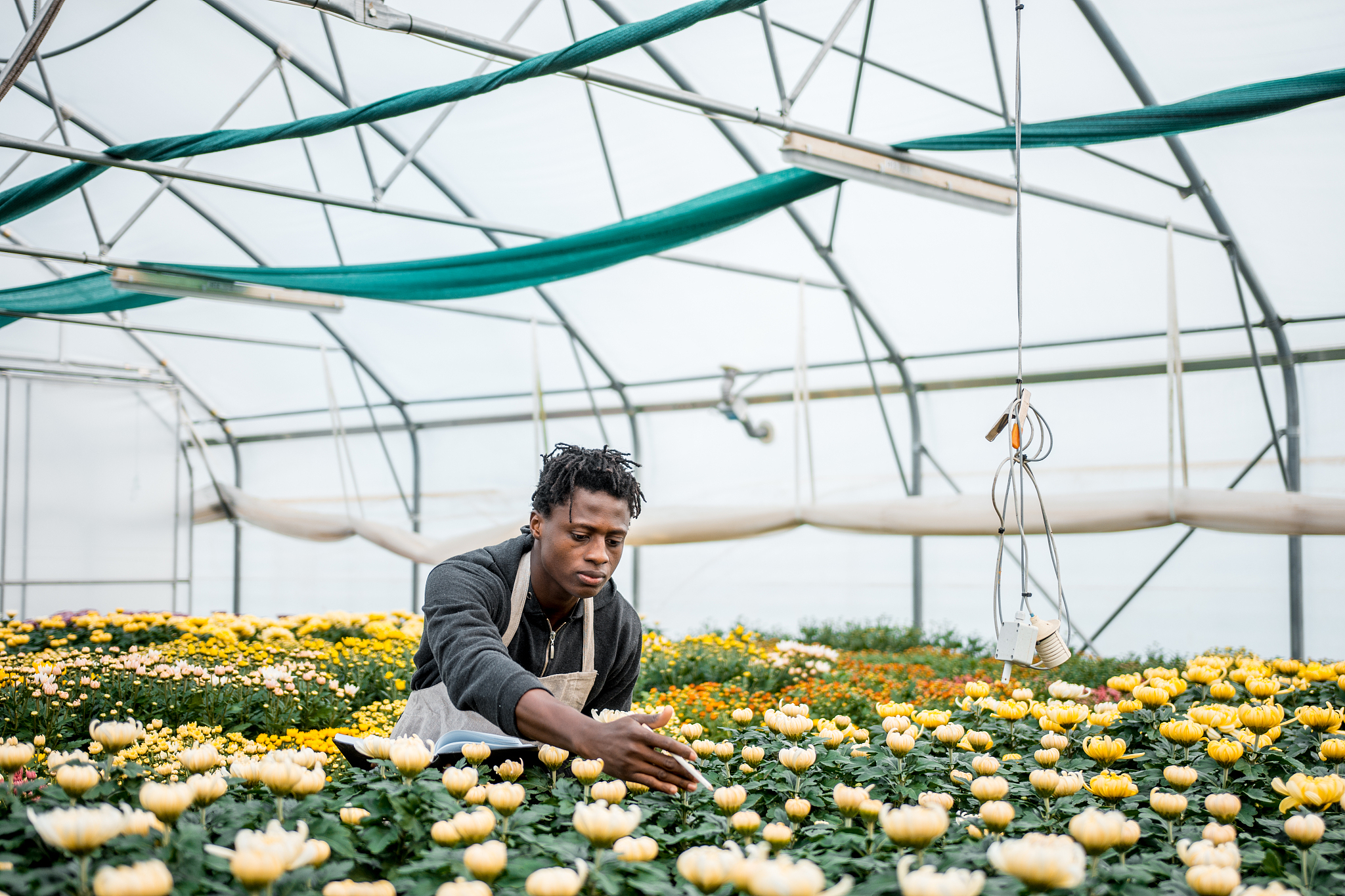 african man working and taking notes in the greenhouse