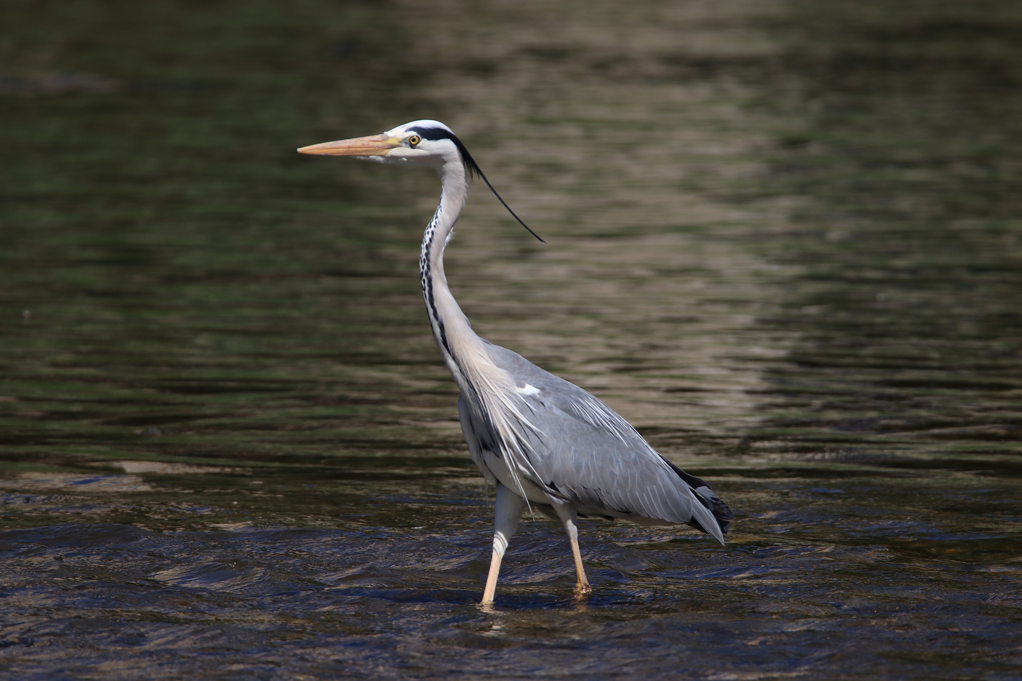 每个人都有值得倾听的故事：生命的意义和启示