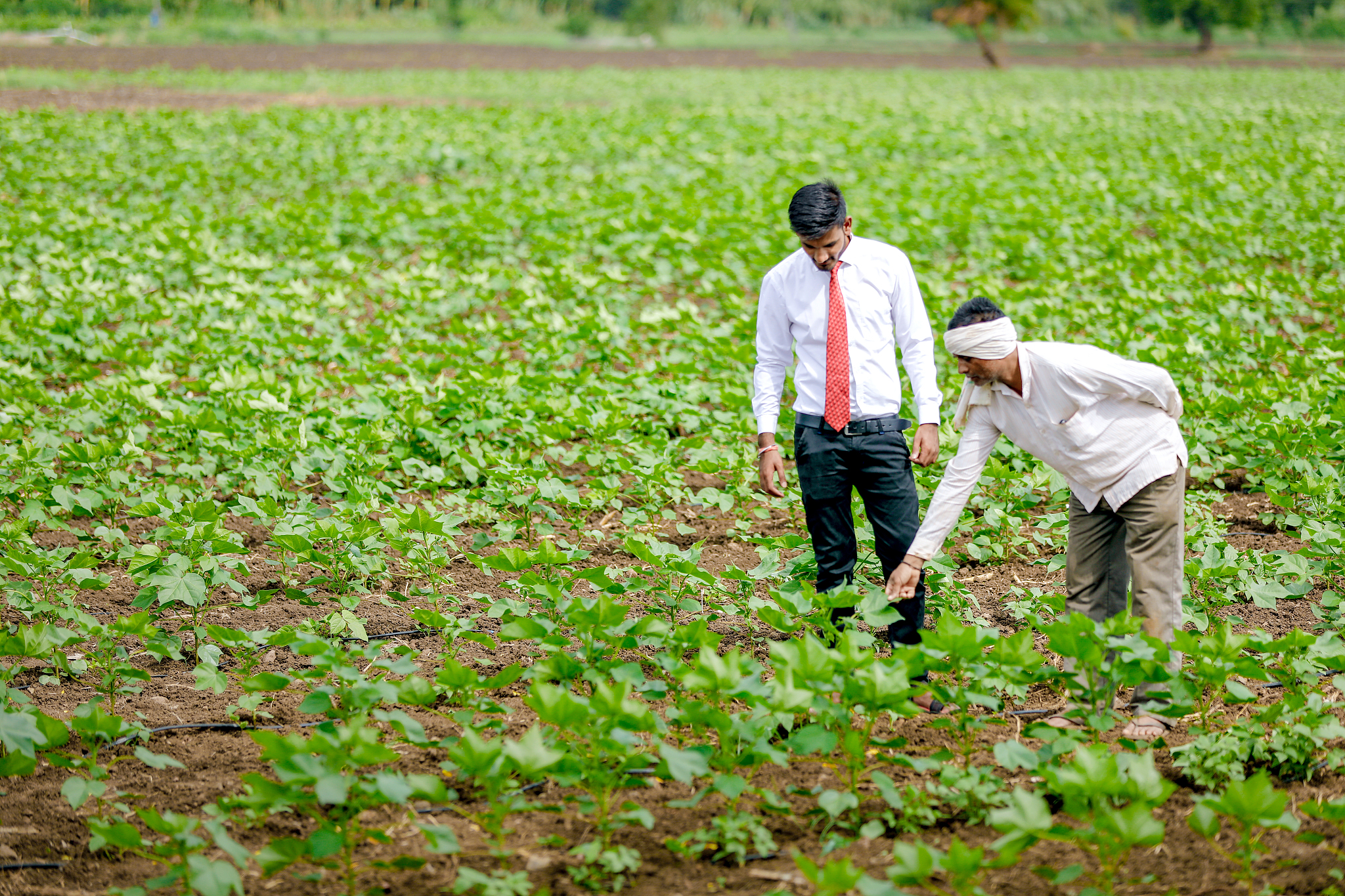 曲靖农业学校有助产专业吗