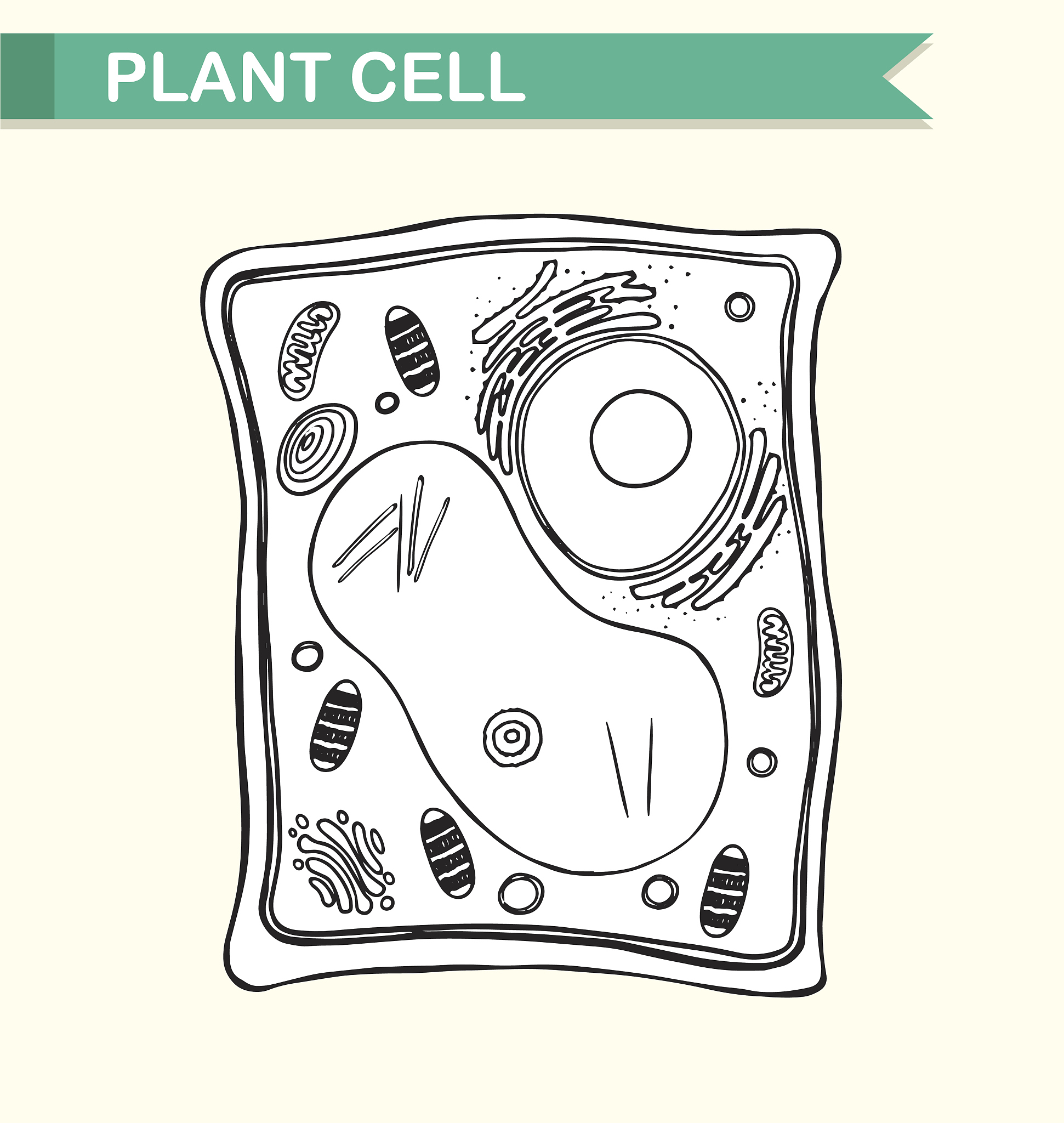 为什么学习化学对孩子很重要？一个生物学例子告诉你
