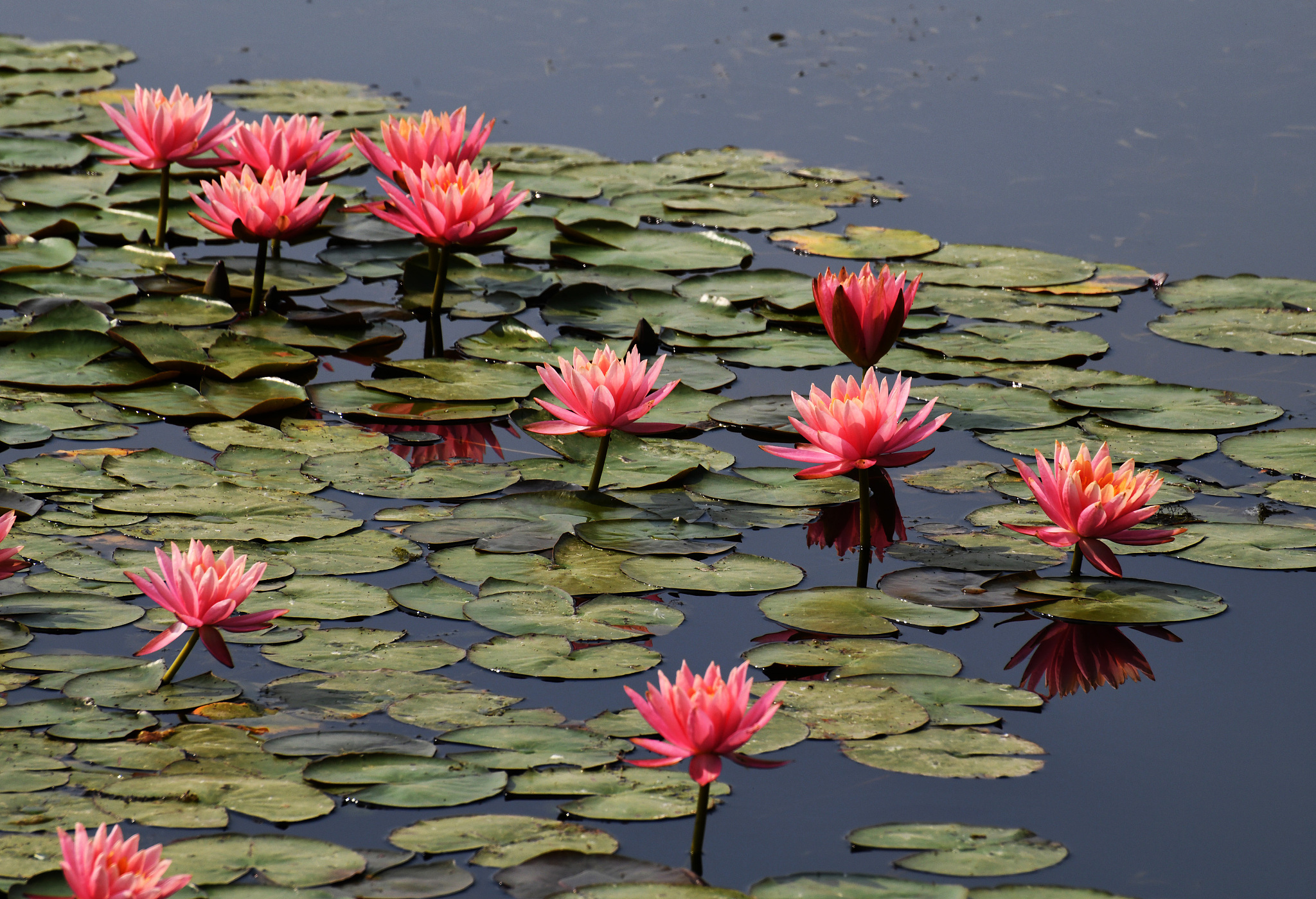 枣庄职工中等专业学校2022年专业设置：电子商务、会计、护理等