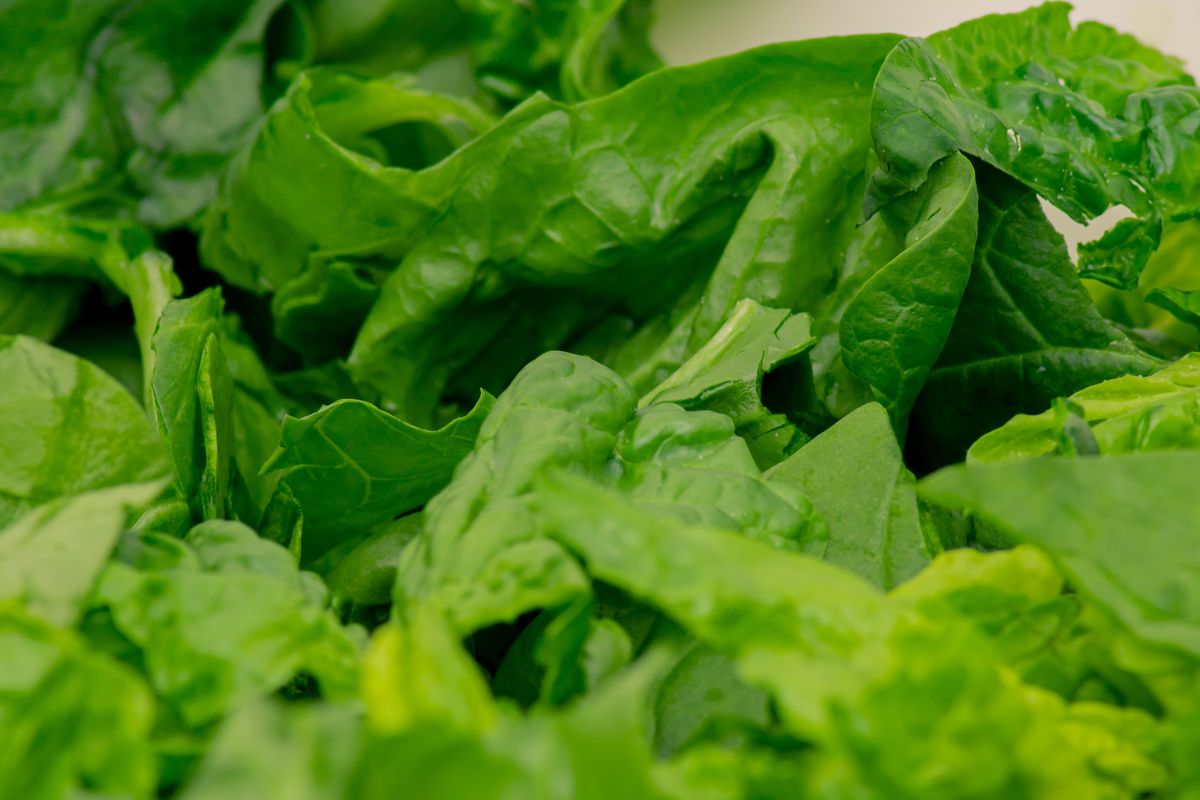 如何保存绿叶菜一个月