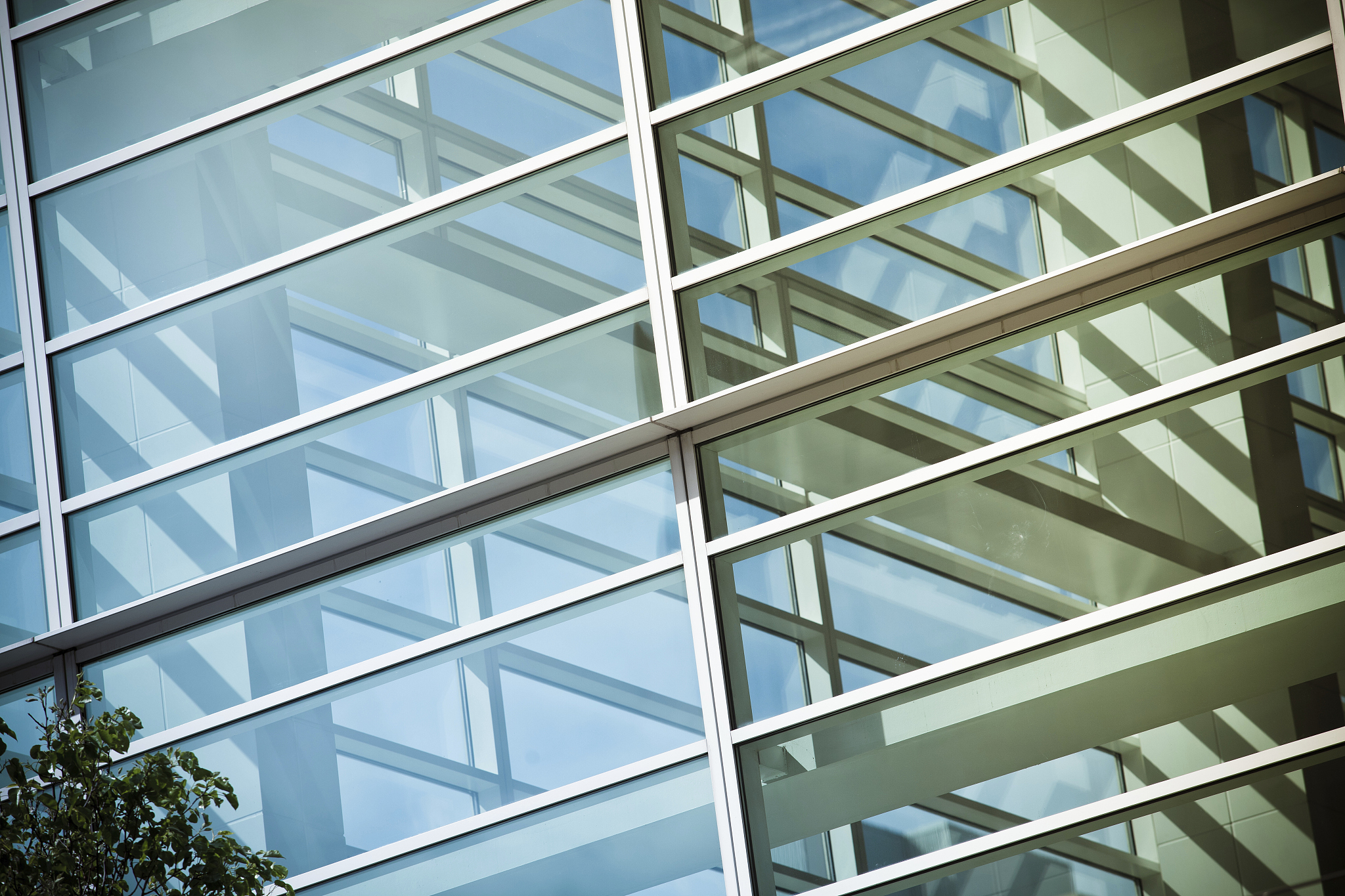 modern corporate glass architecture