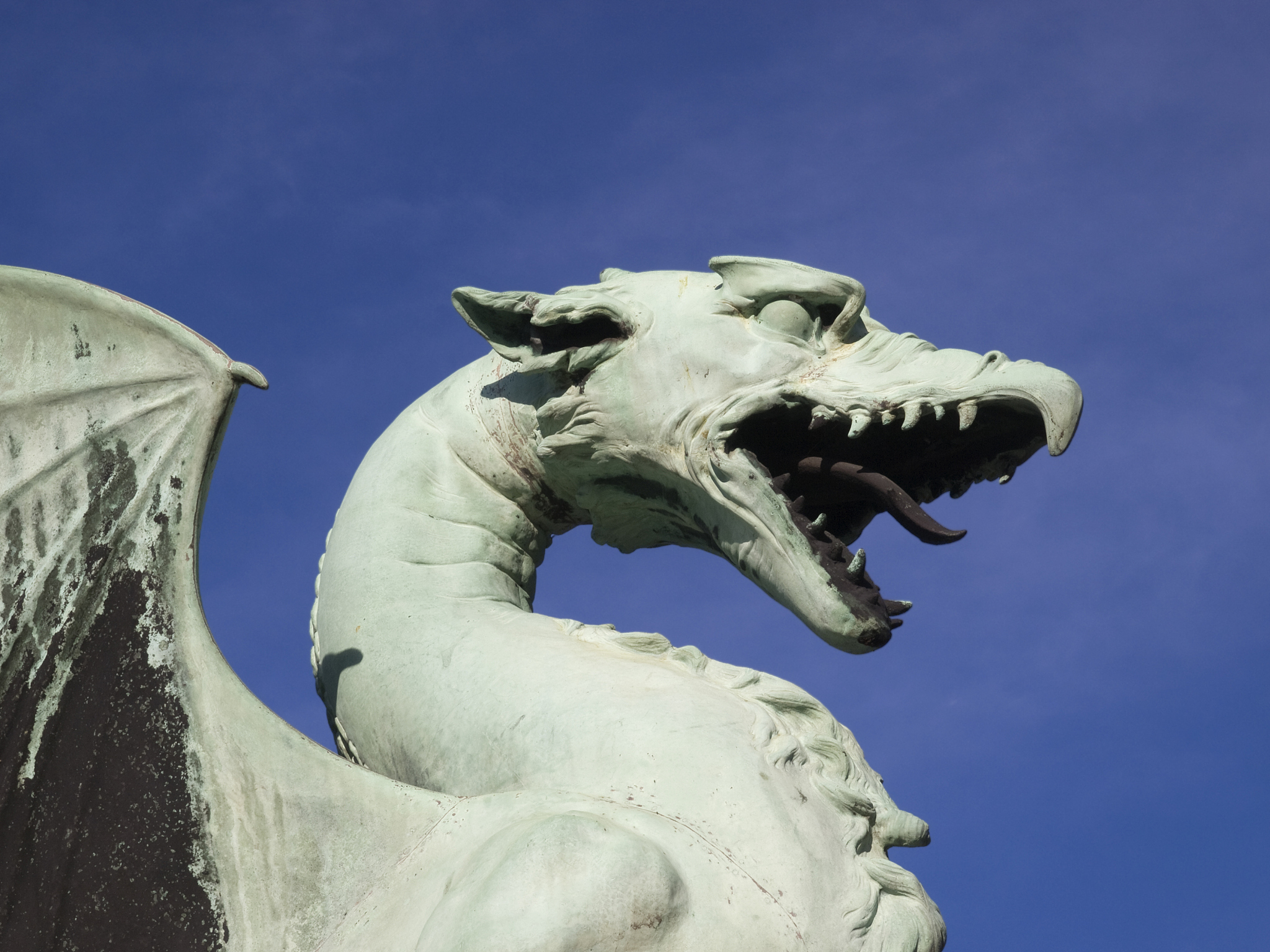 dragon