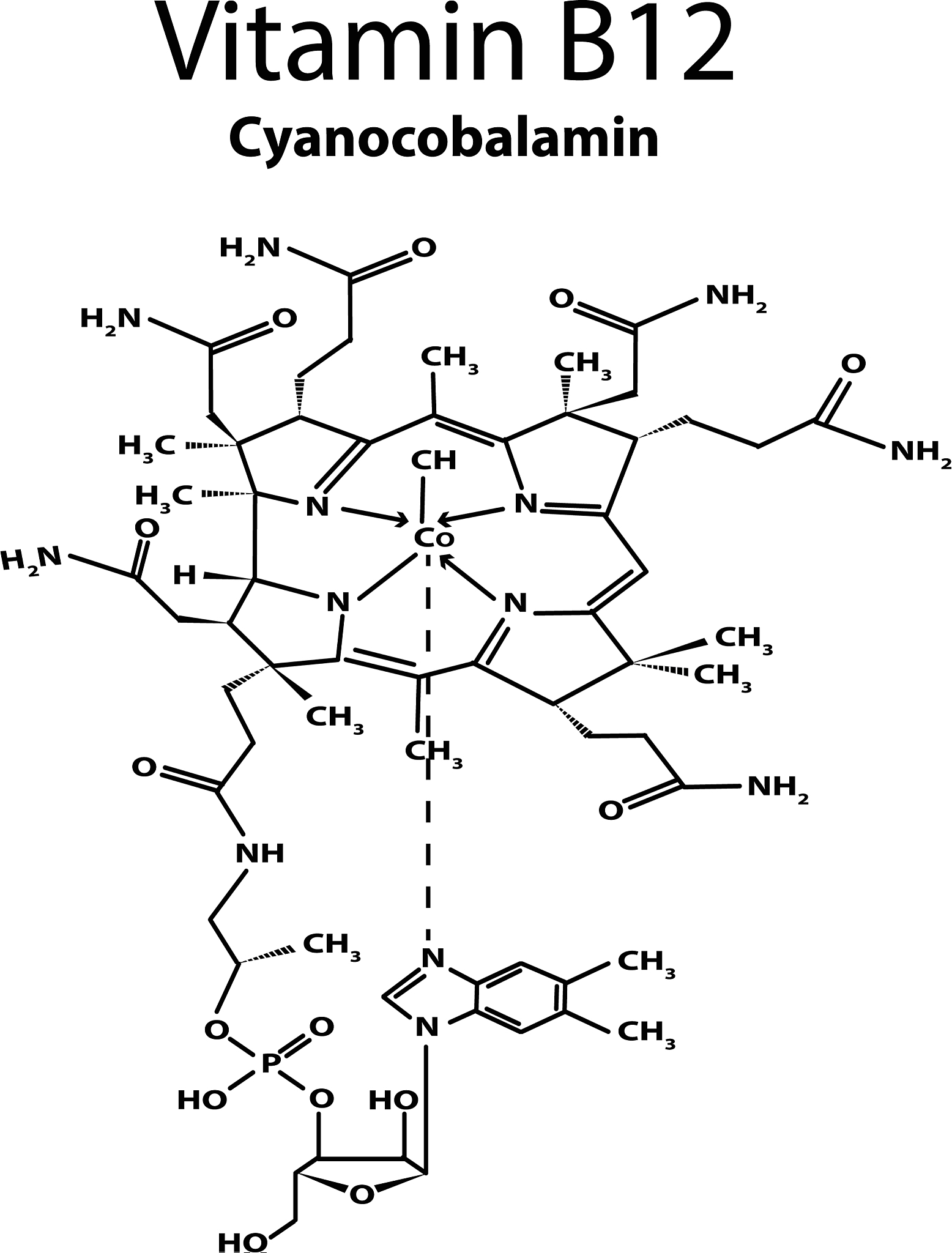 多肽类3CL蛋白酶抑制剂：COVID-19治疗的新希望