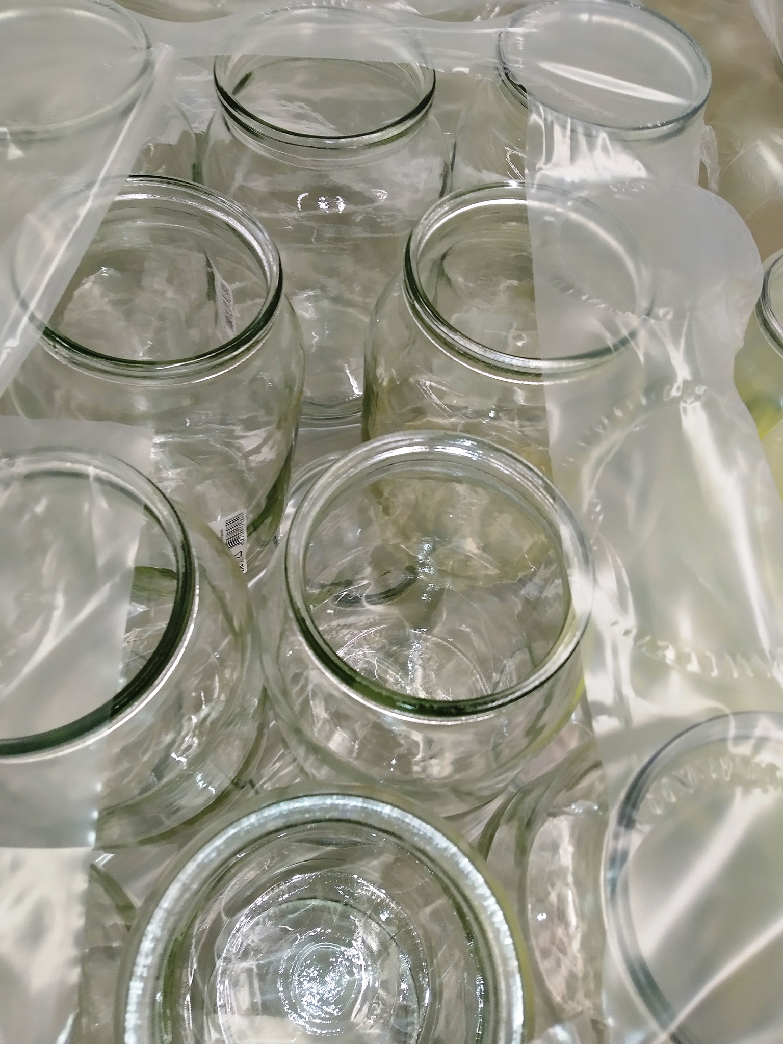 泡腾崩解技术制备稳定包埋体系：以虾青素为例