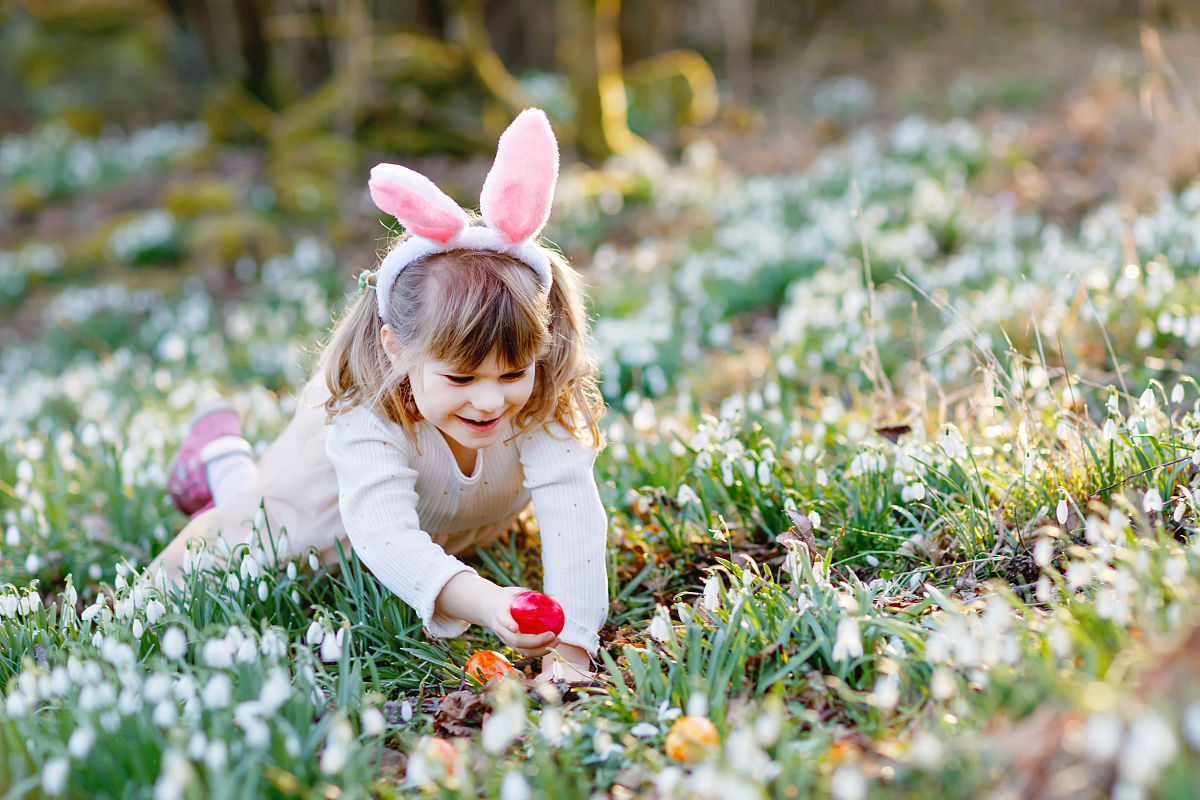 写一个关于春天100字作文